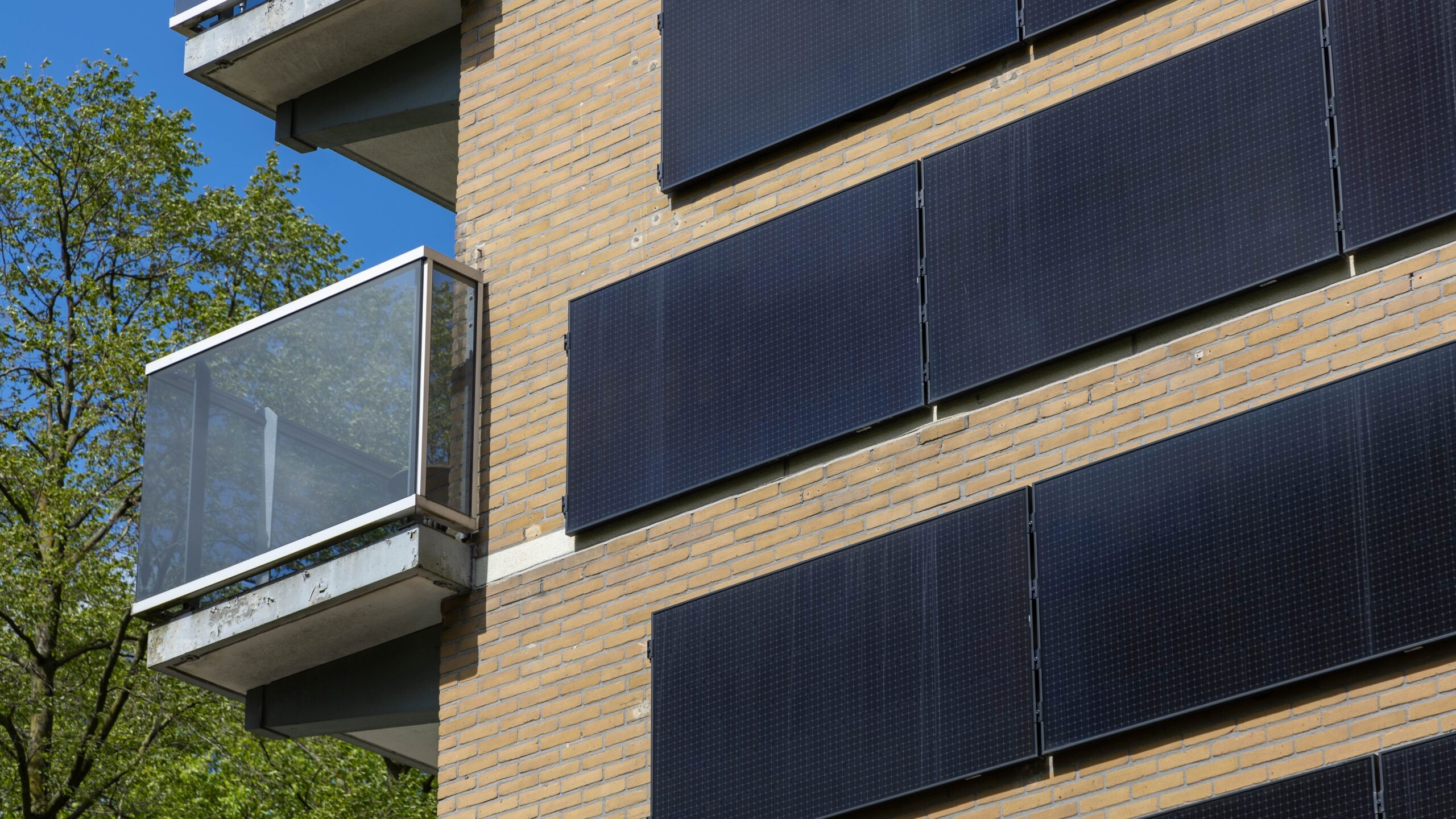 Foto: PixelBiss / Shutterstock.com