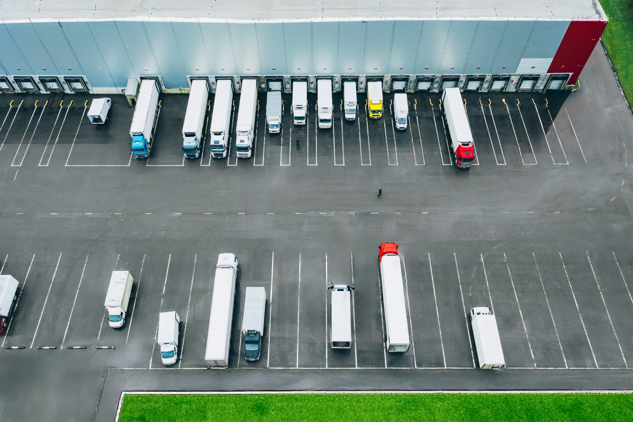 Foto: Nblx / Shutterstock.com