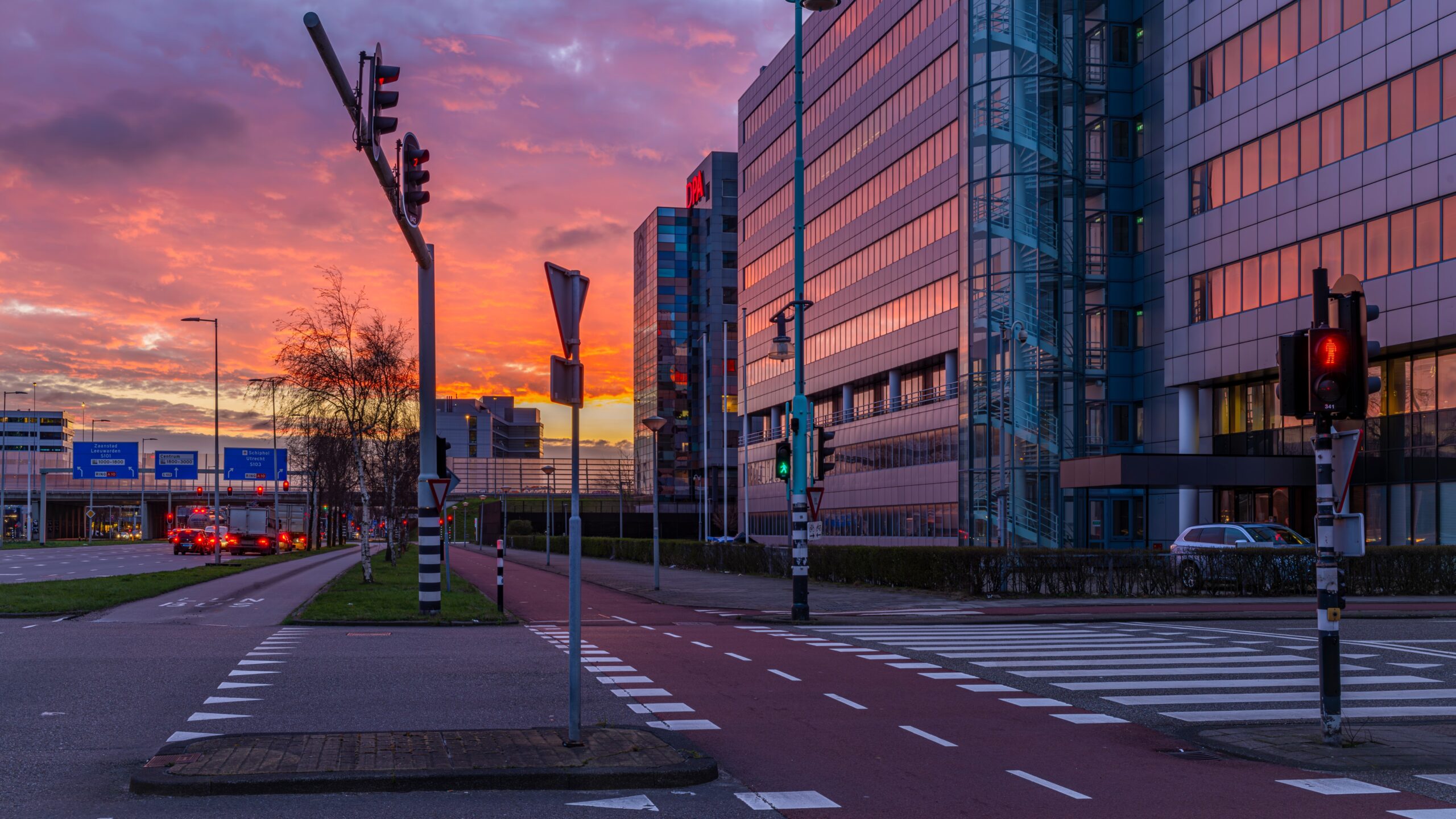 Beeld: Michael Nosek / Shutterstock.