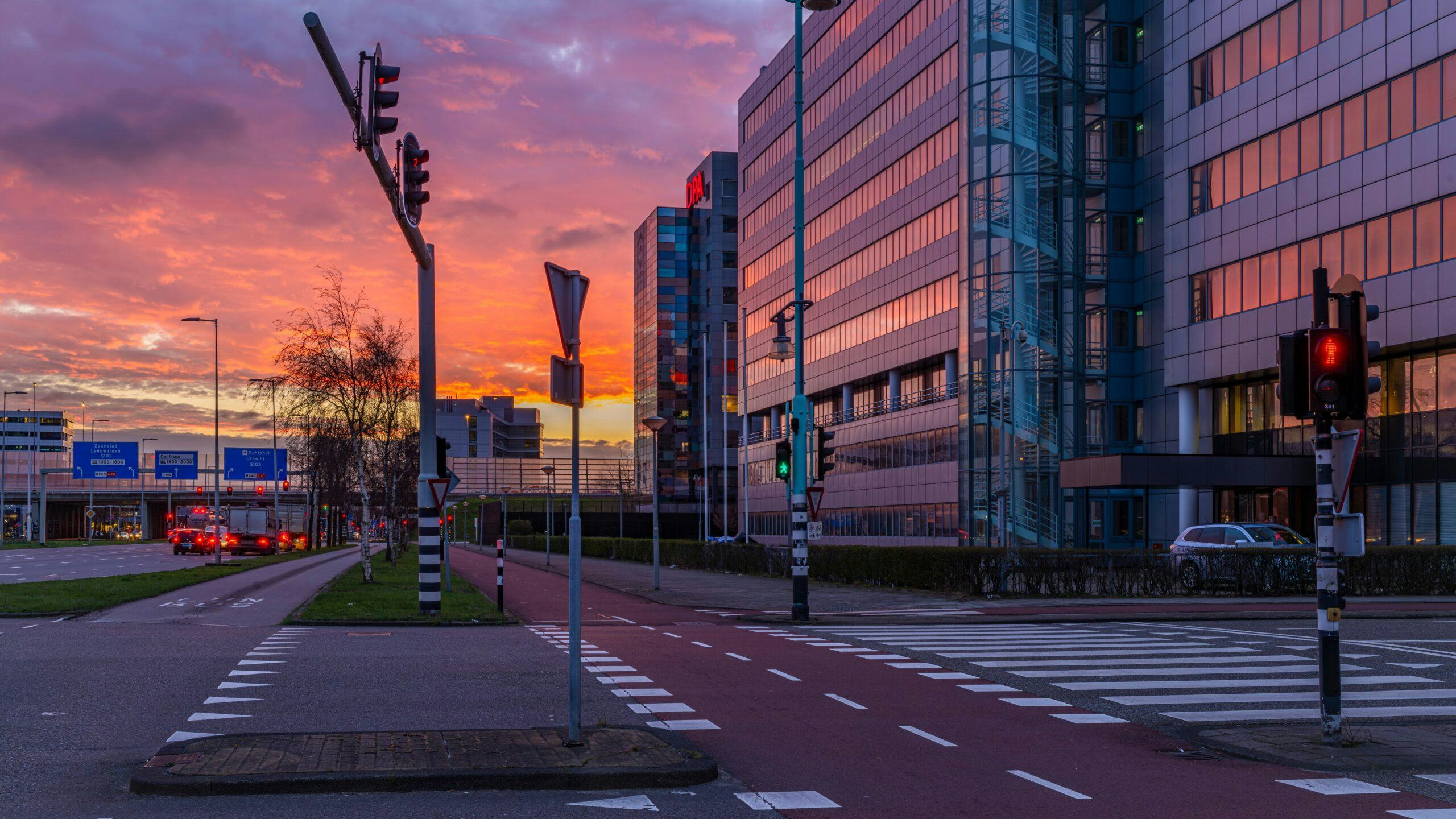 Beeld: Michael Nosek / Shutterstock.