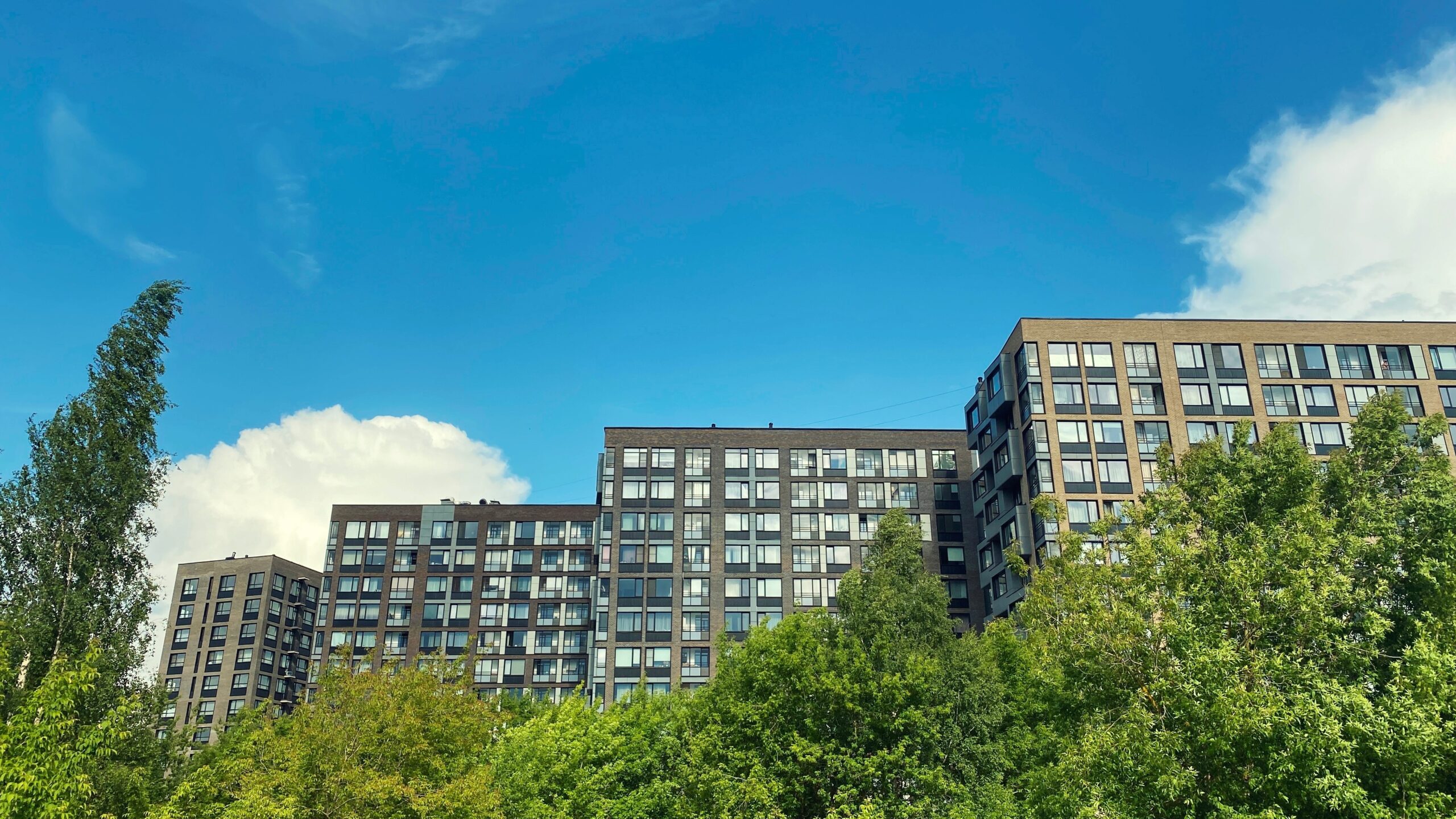 Foto: Rohappy / Shutterstock.com