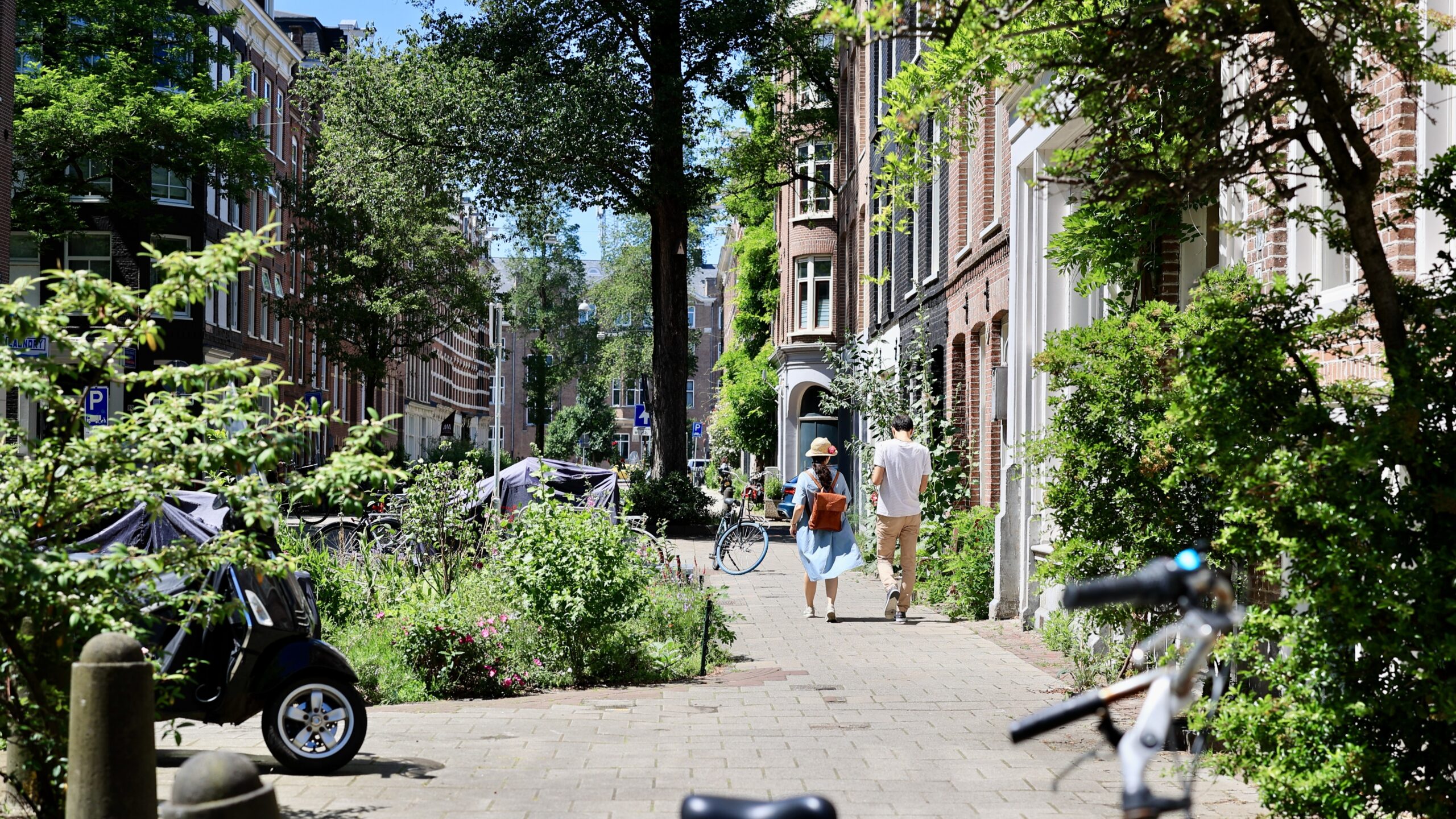 Bij een verdubbeling van het groen naar 30 procent, daalt het aantal sterfgevallen met een derde, stelt Mark Nieuwenhuijsen. Foto: Dutch_Photos / Shutterstock.com