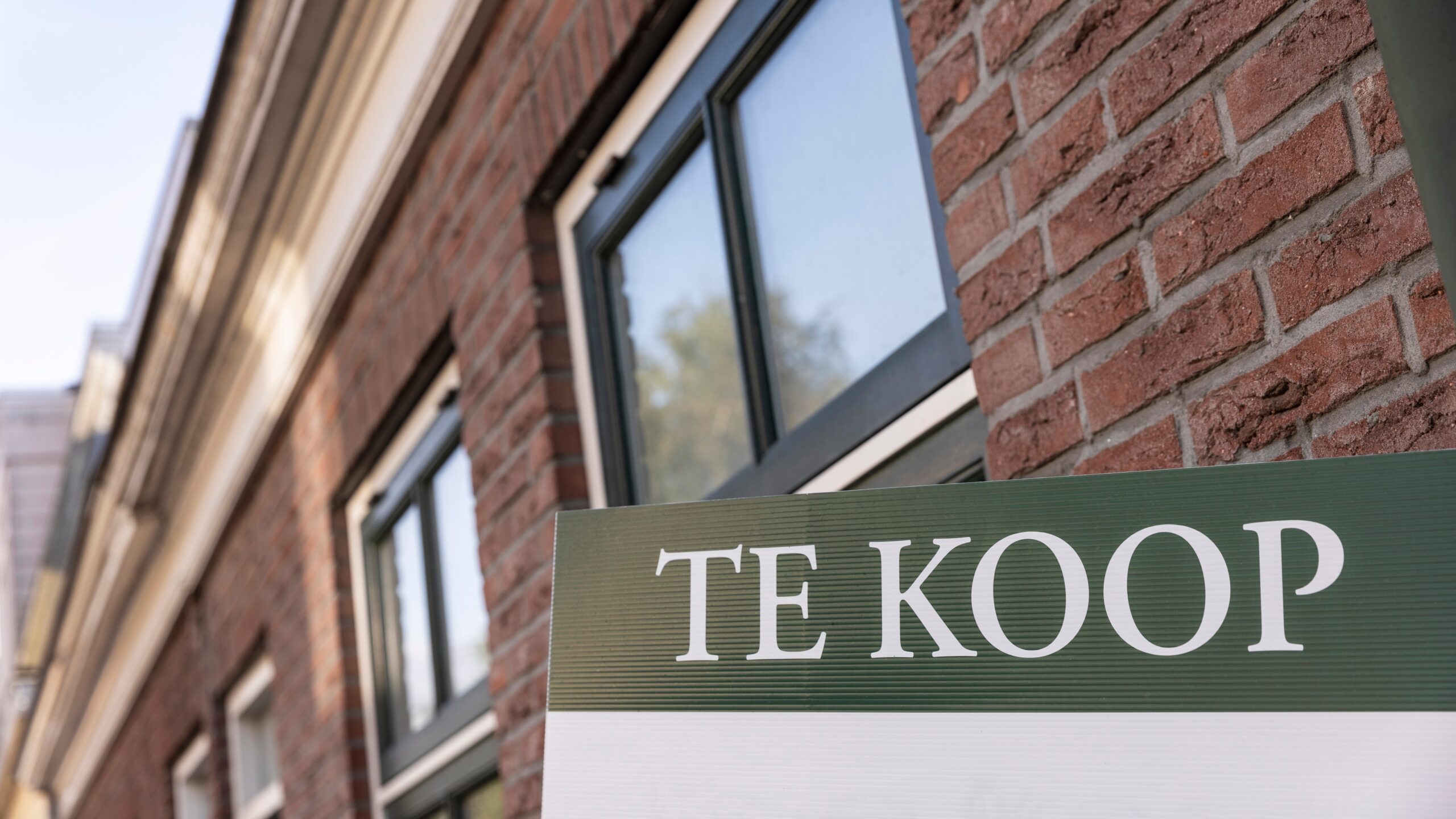 Foto: Lea Rae / Shutterstock.com