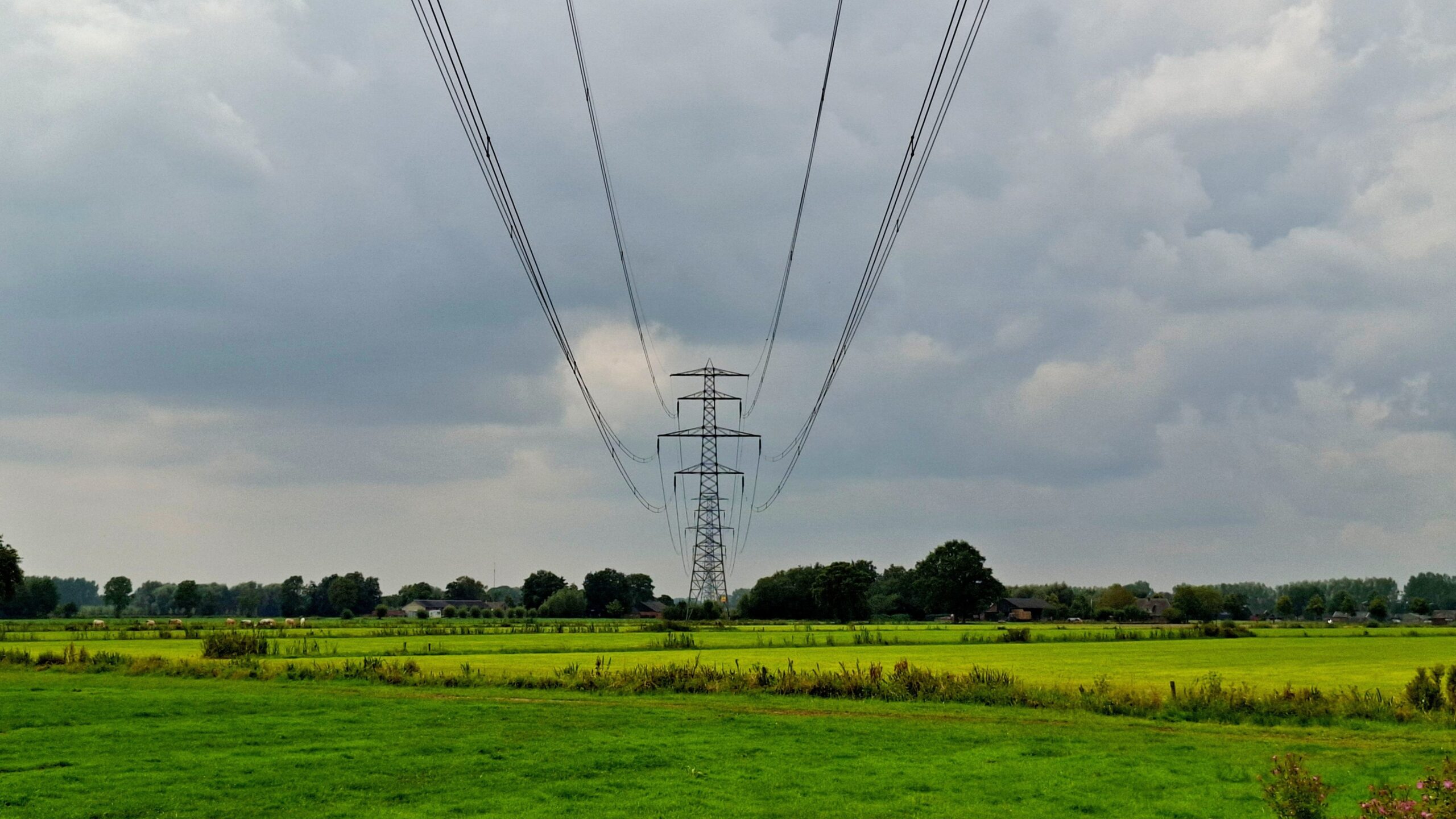 Foto: Andre Muller / Shutterstock.com