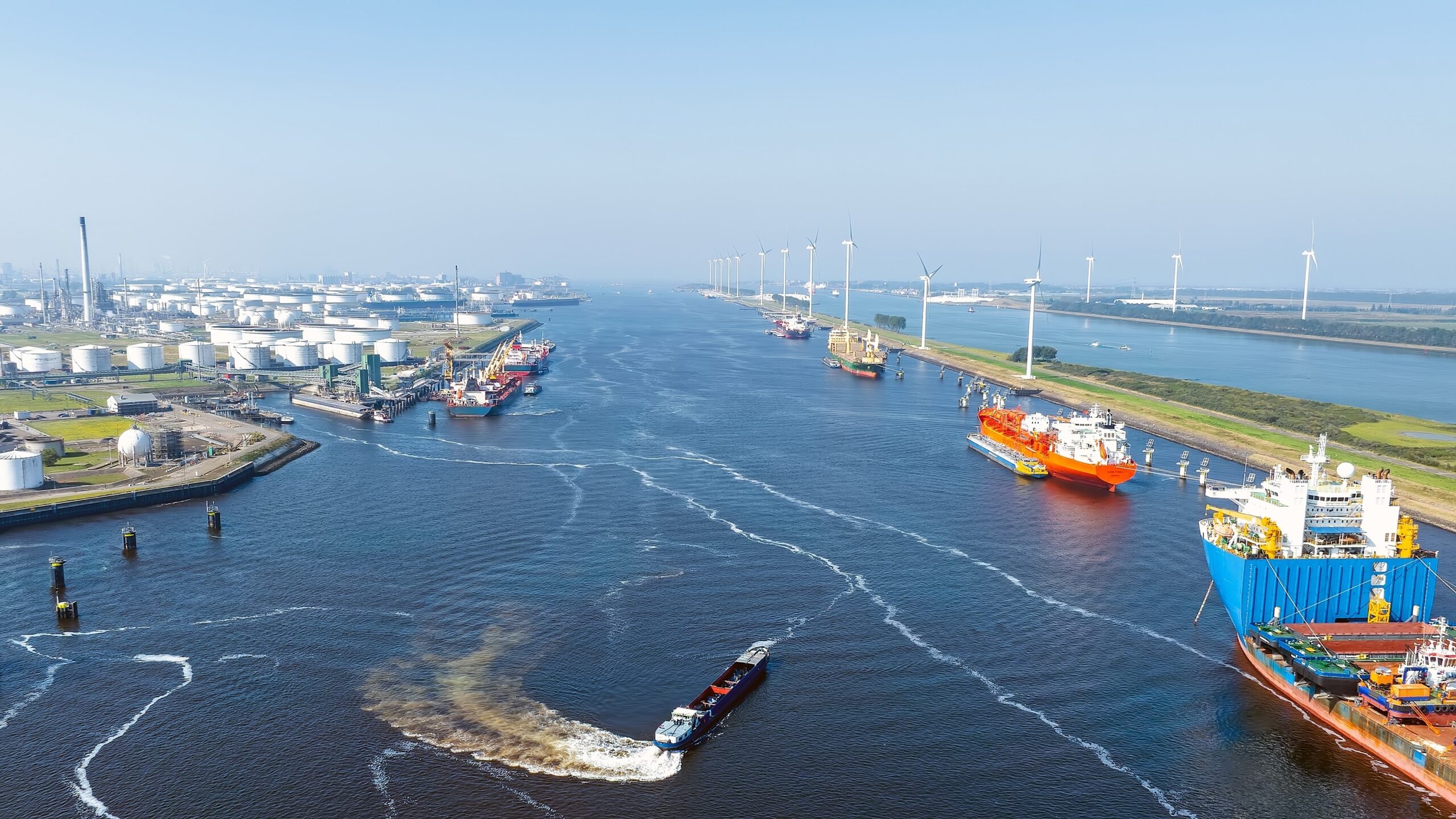 Foto: Steve Photography / Shutterstock.com