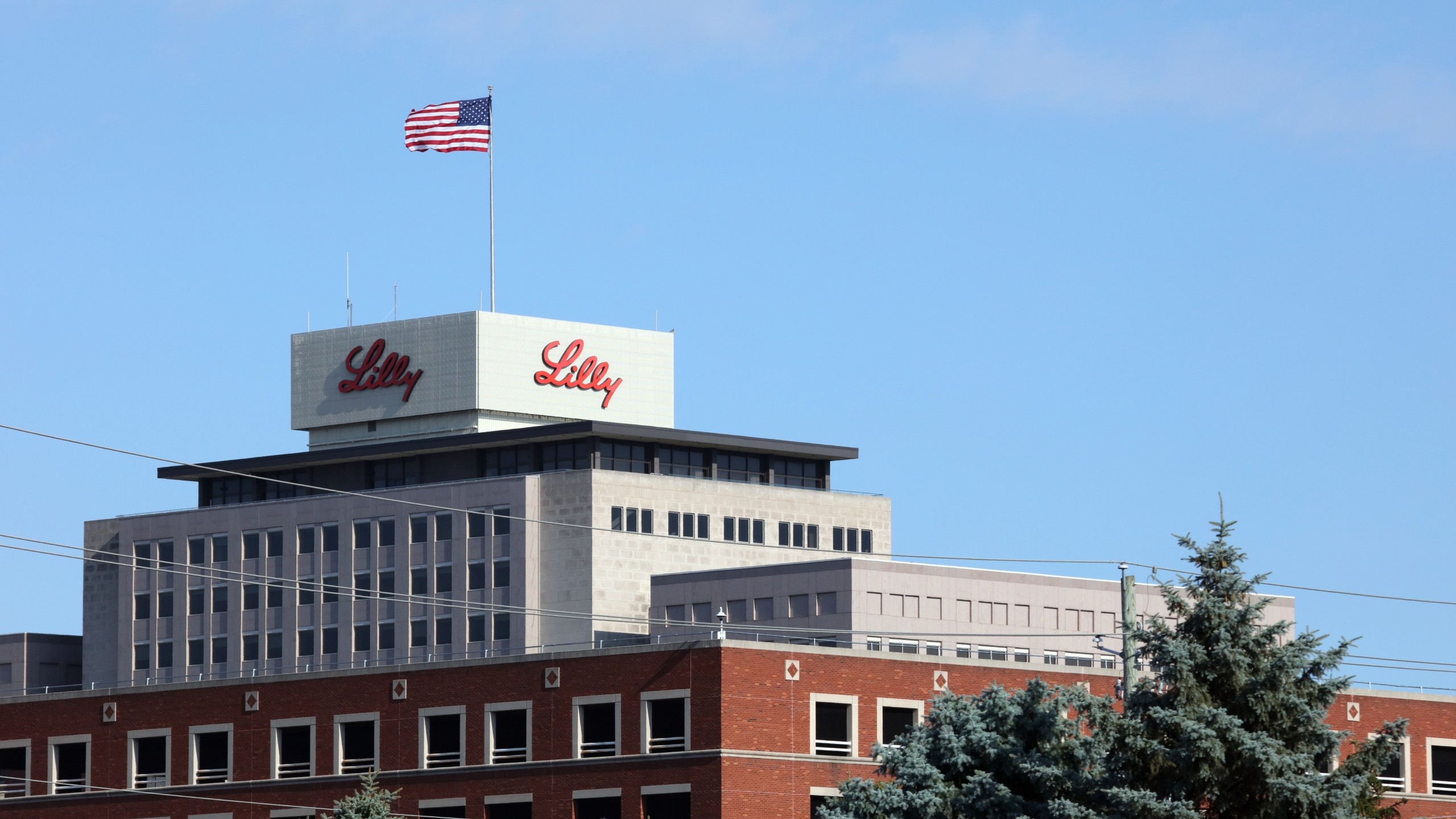 Foto: Katherine Welles / Shutterstock.com