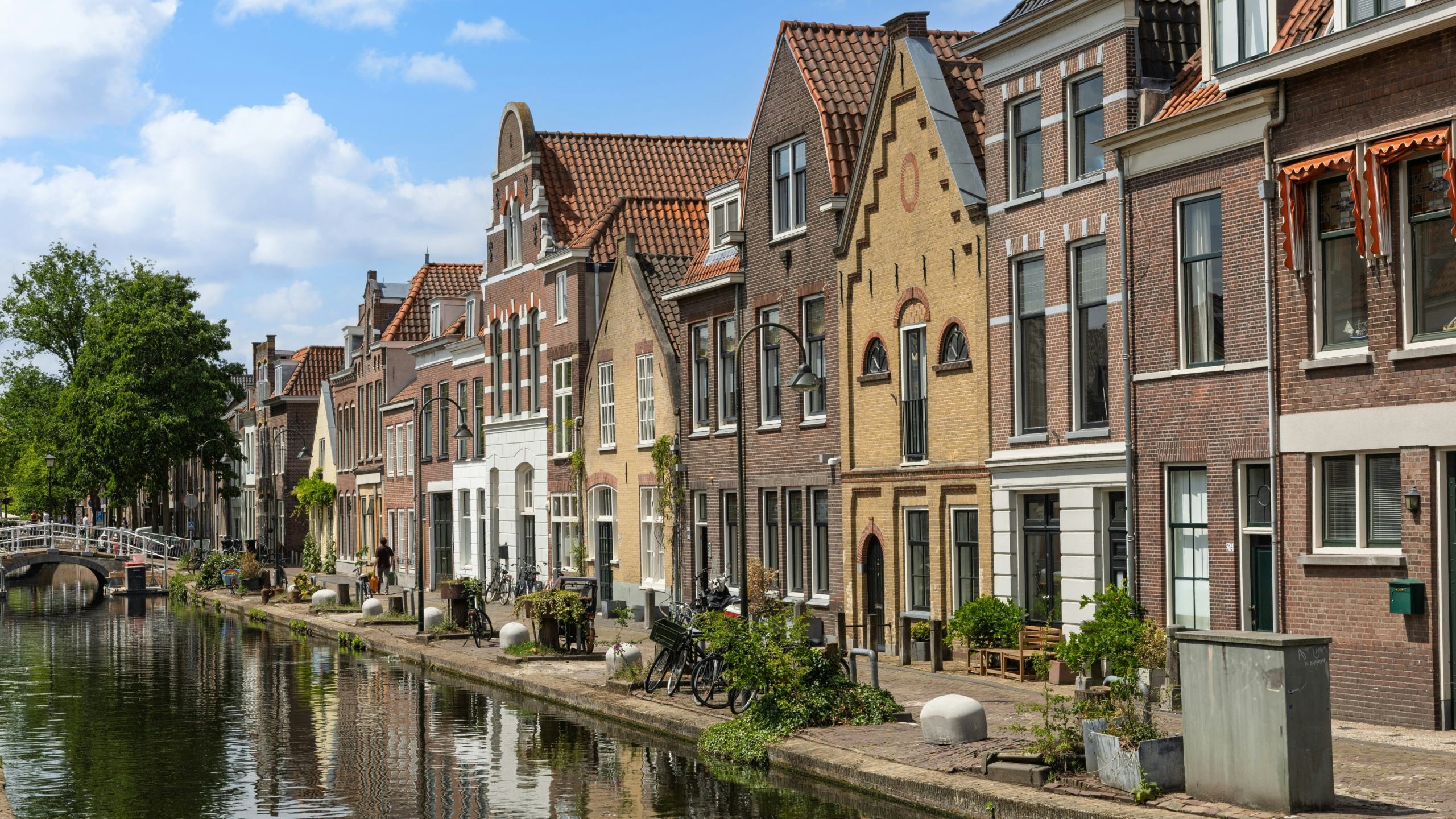 Foto: PixelBiss / Shutterstock.com