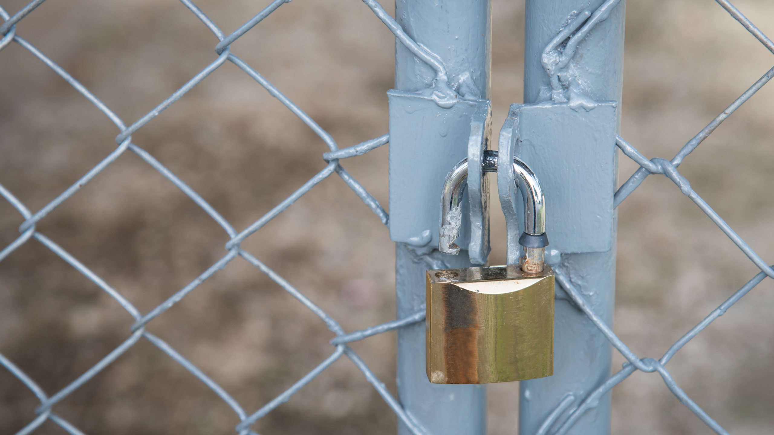 Foto: satit sewtiw / Shutterstock.com