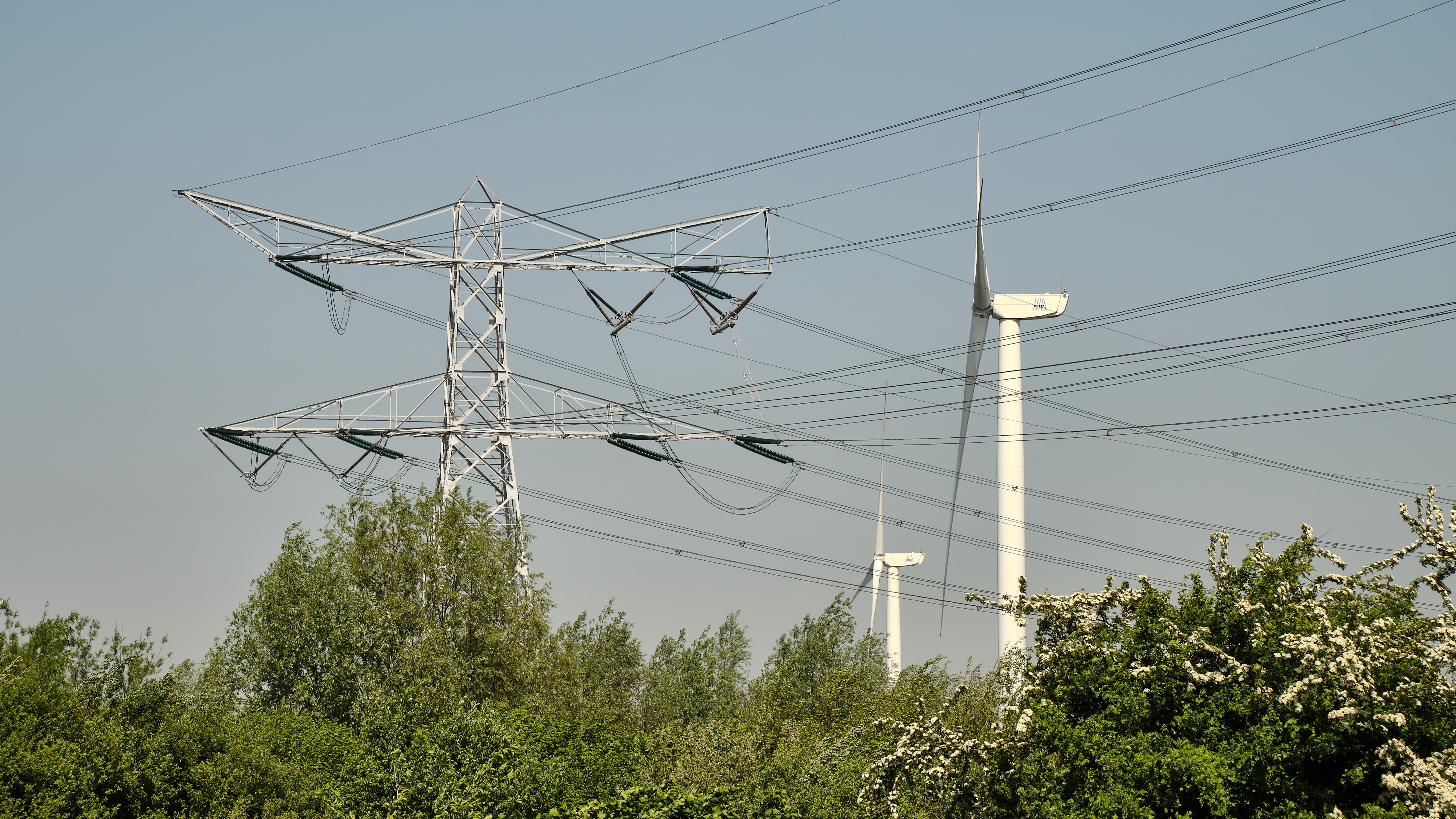 Foto: VeugerStock /  Shutterstock.com