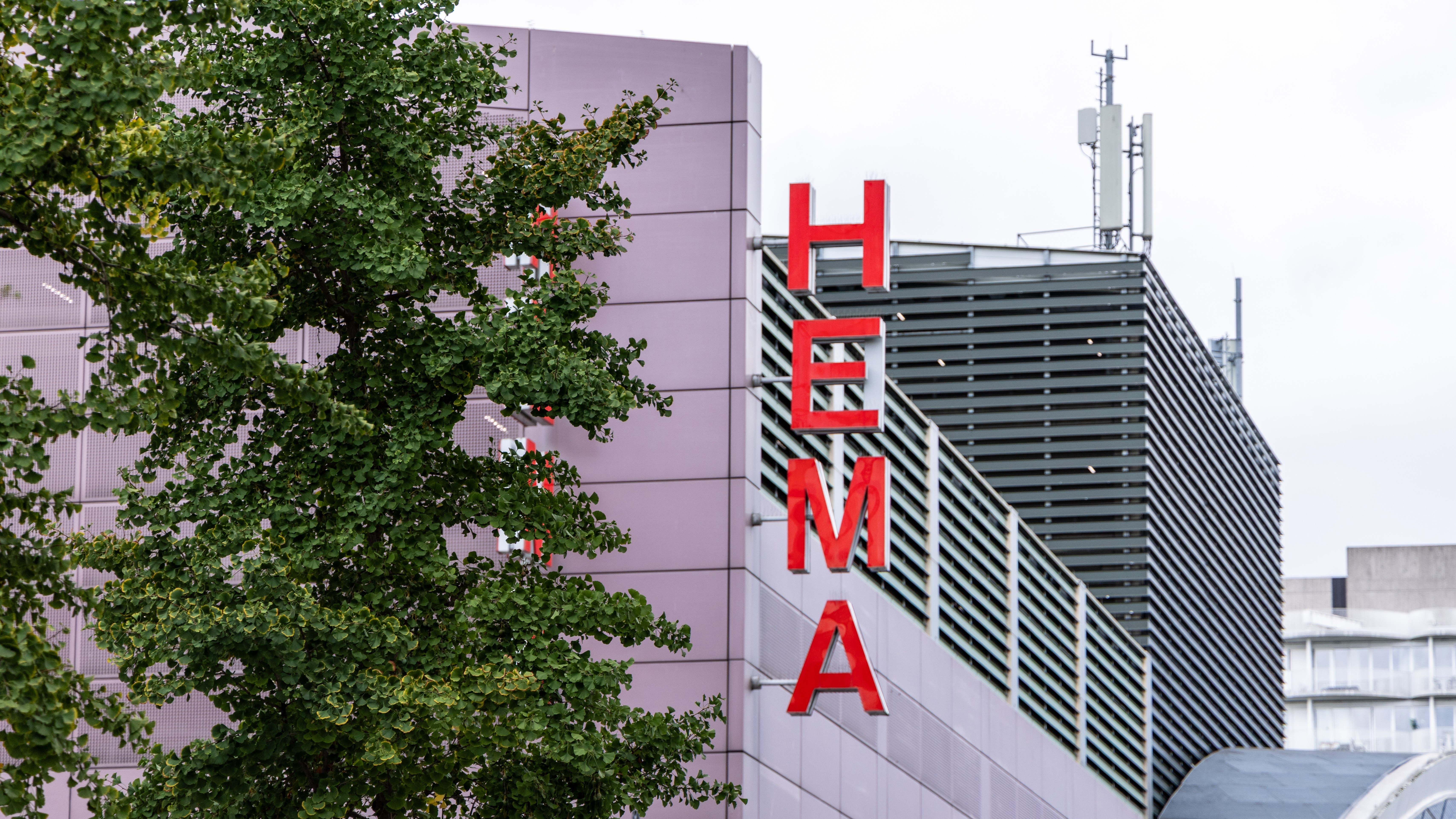 Foto: 4kclips / Shutterstock.com