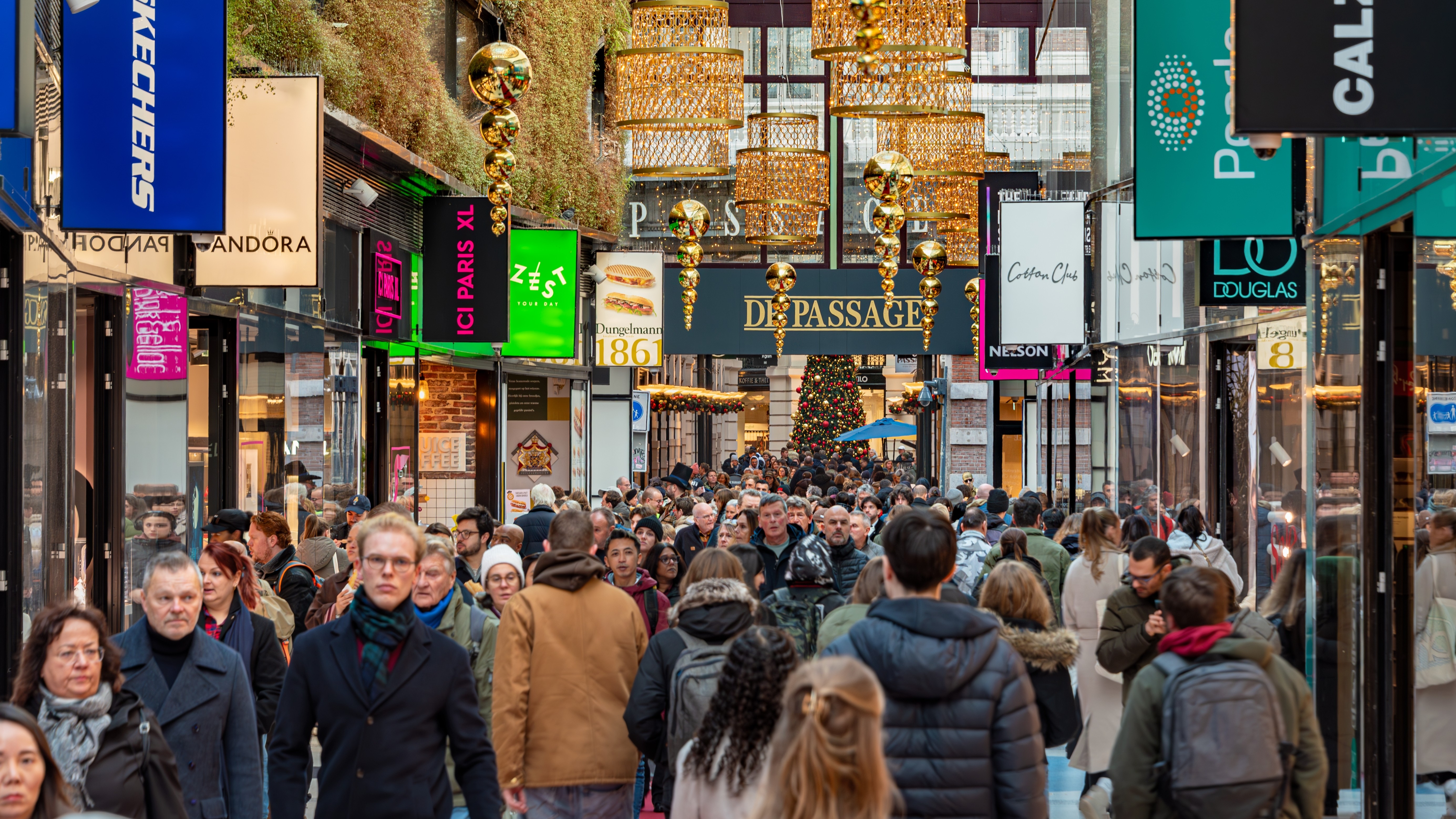 Foto: Gallwis / Shutterstock.com