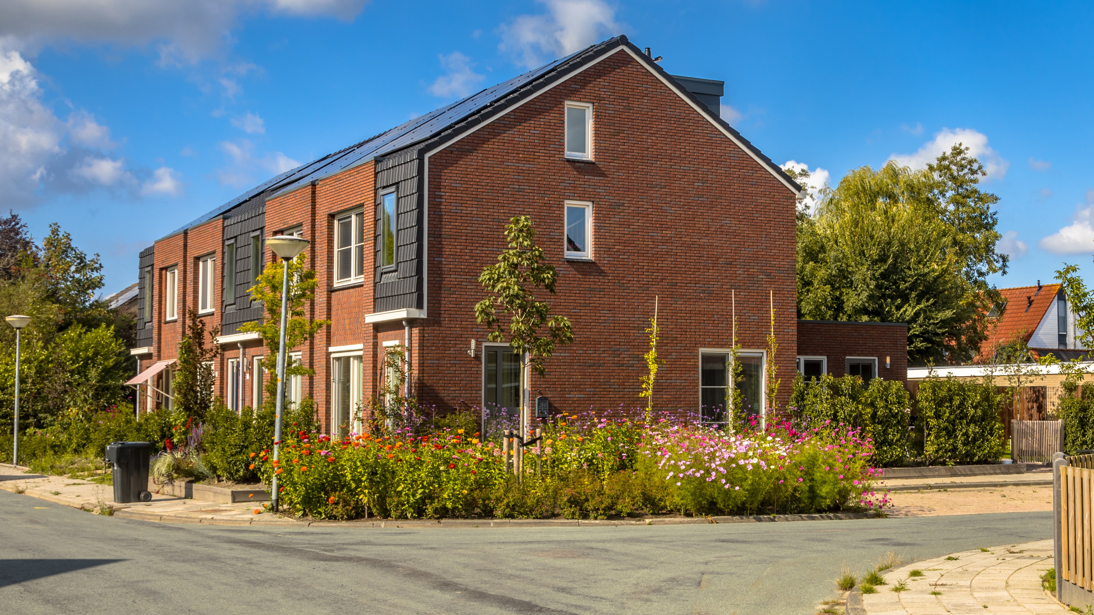 Foto: Rudmer Zwerver / Shutterstock.com