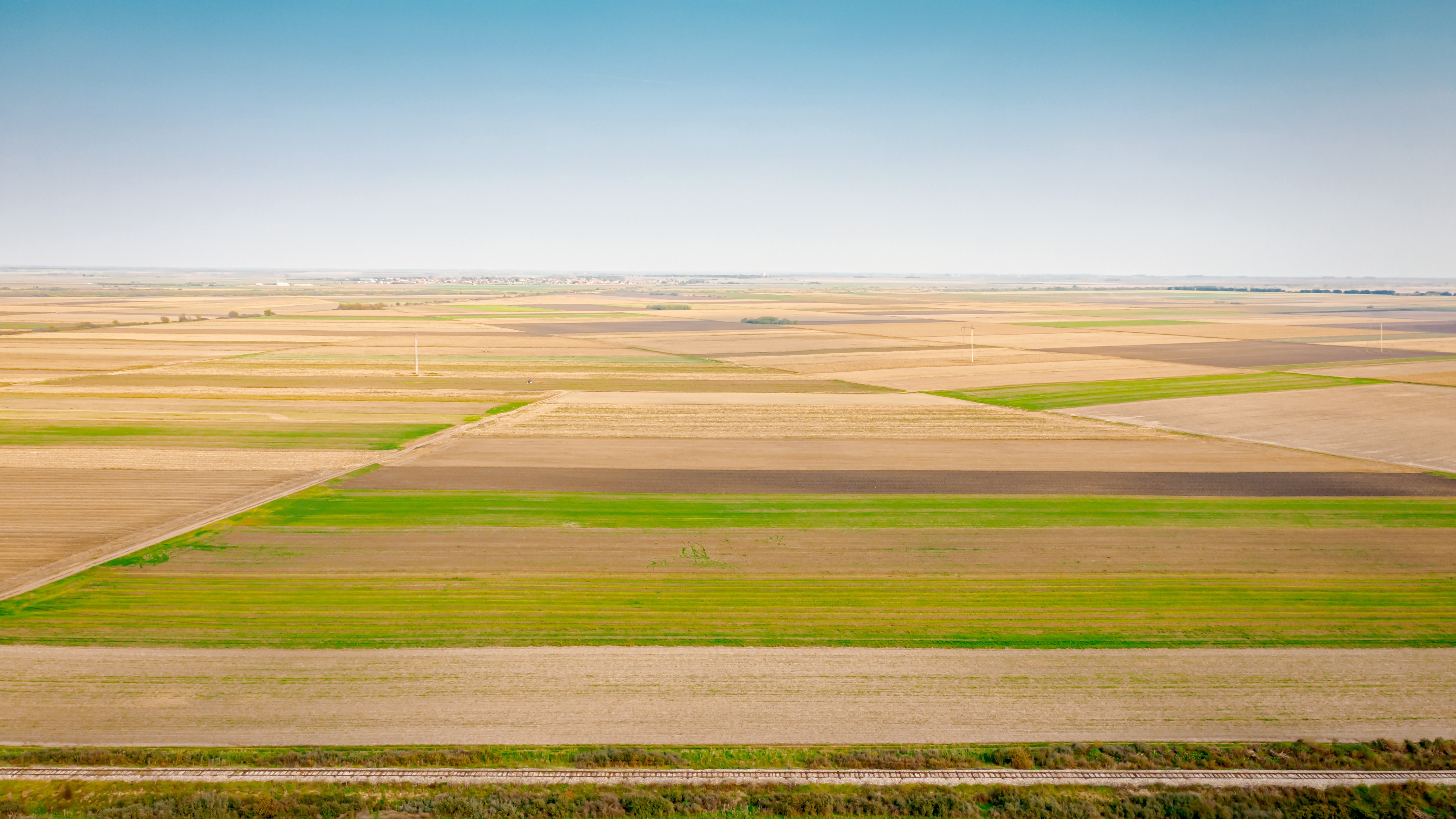 Foto: Roman023_photography / Shutterstock.com