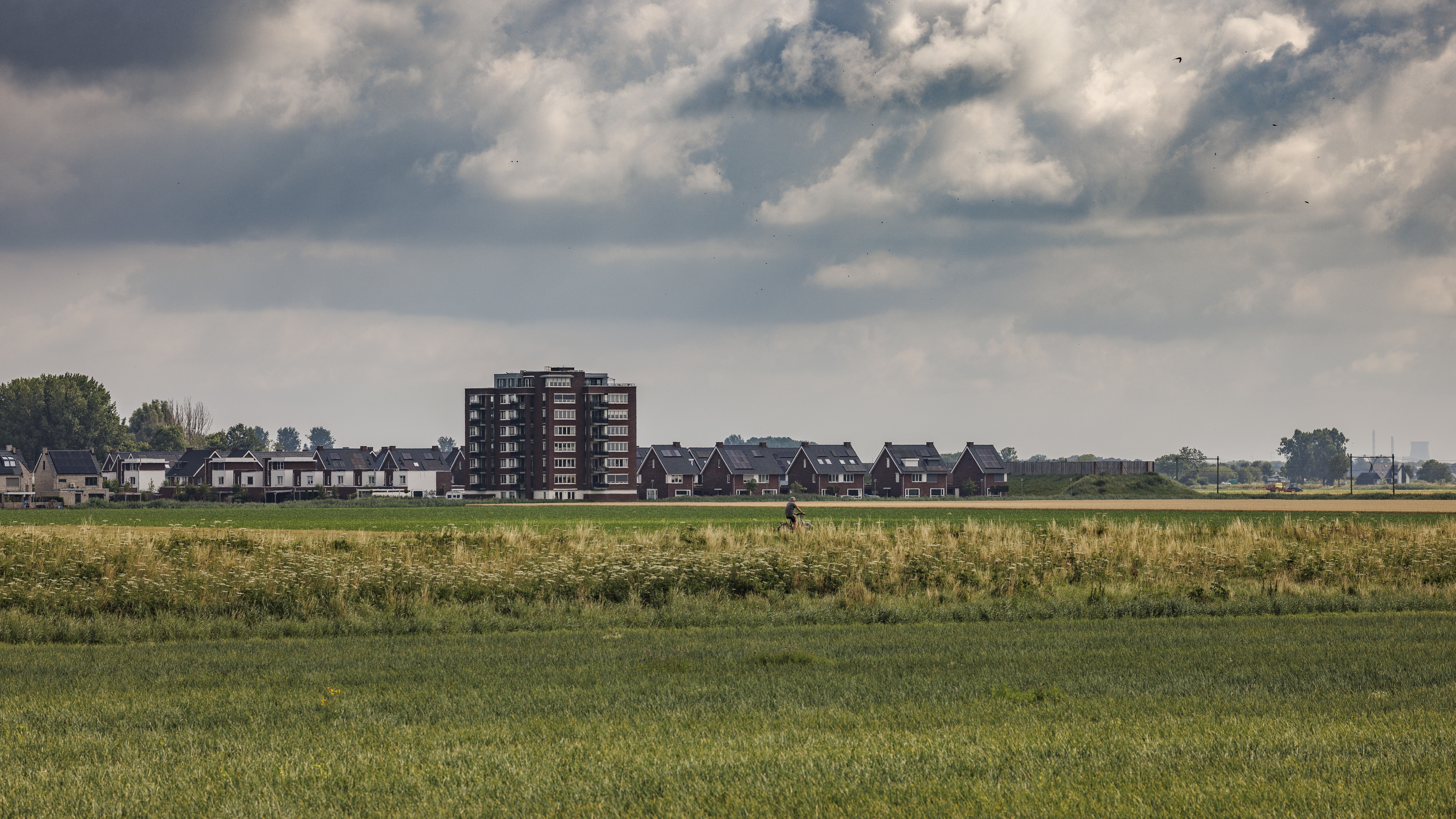 Foto: Marcel Otterspeer / Shutterstock.com