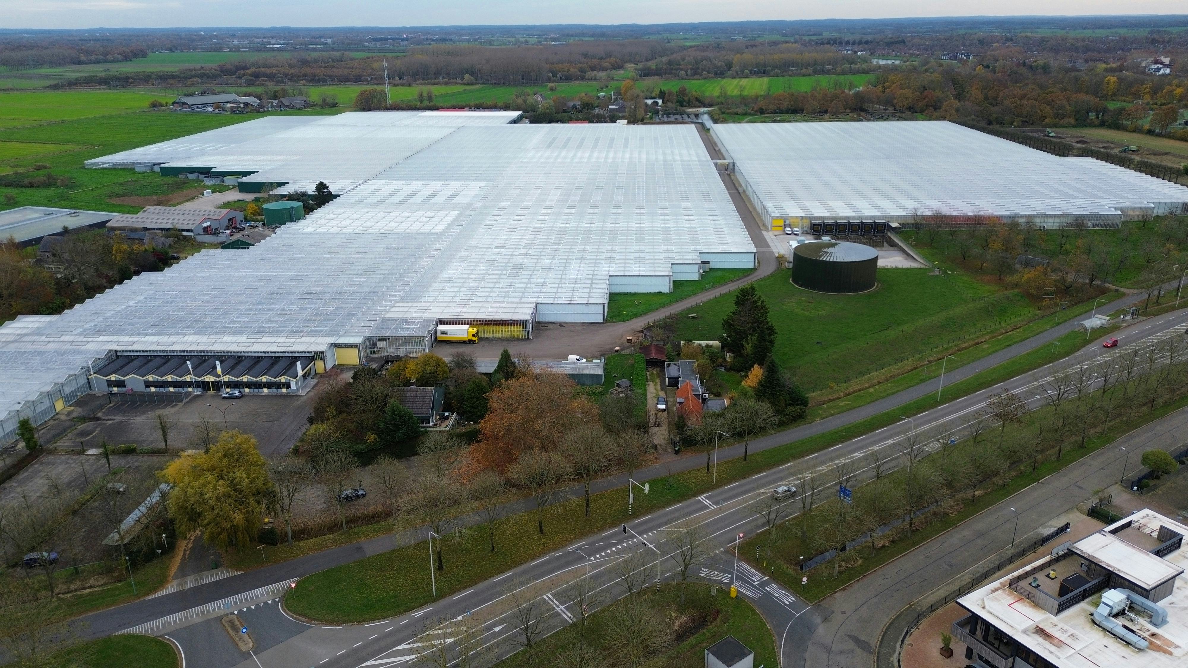 Larendael, het investeringsbedrijf van Beelen, nam de grond van Jongerius over inclusief alles wat erop stond, zoals kassen en machines. Foto: ANP / Ricardo Smit