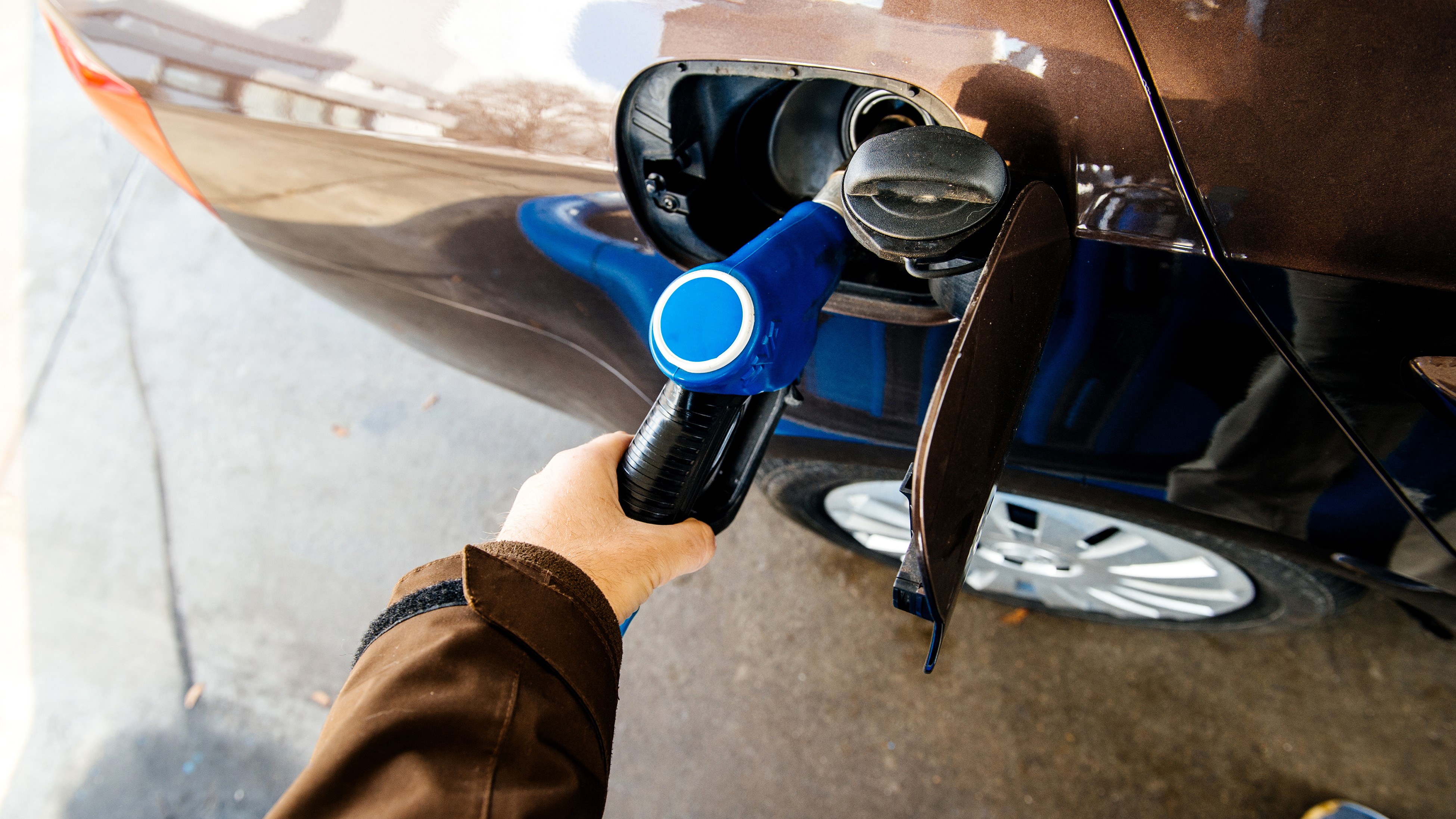 Foto: Hadrian / Shutterstock.com