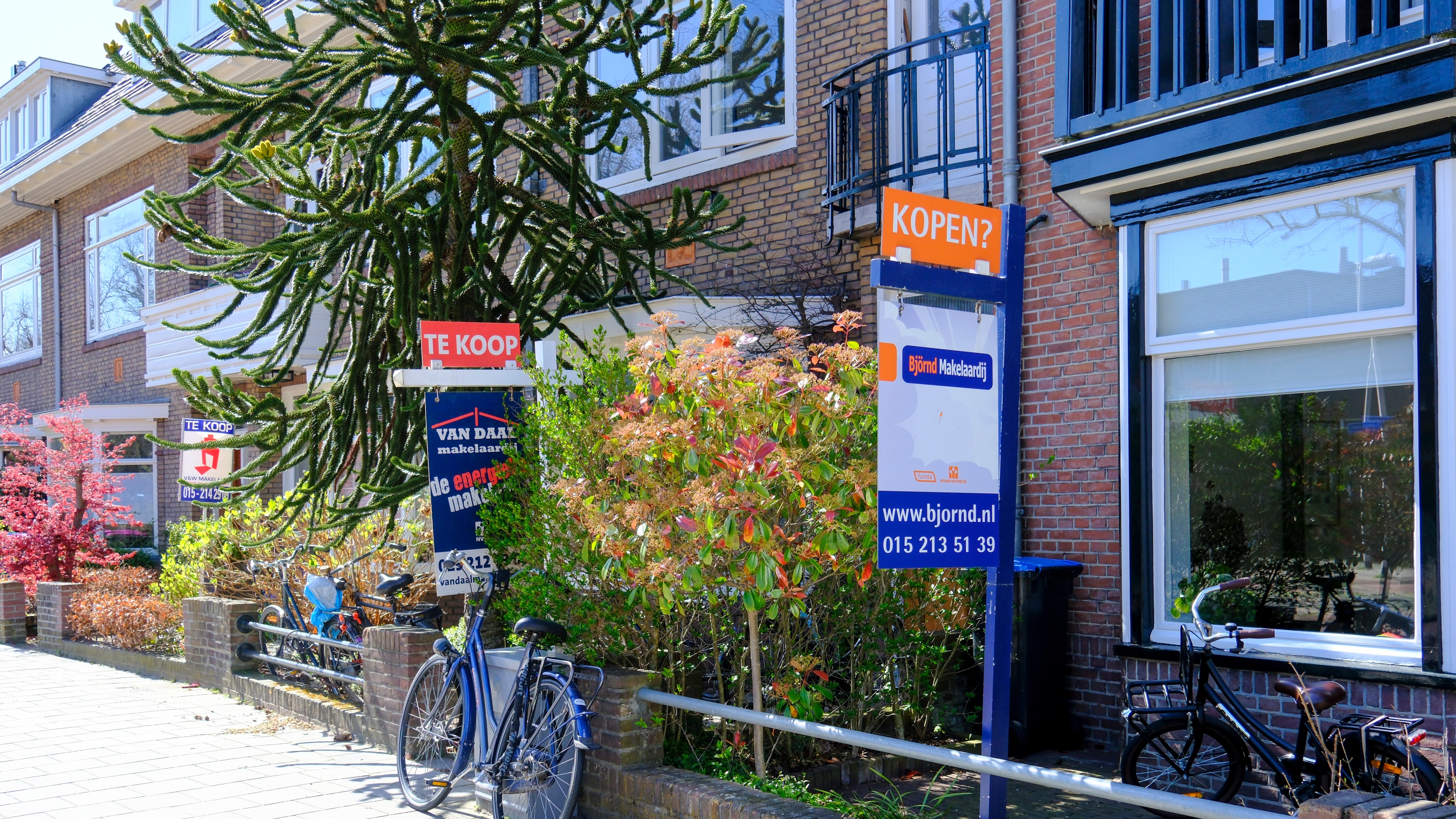 Foto: Weve-Images / Shutterstock.com
