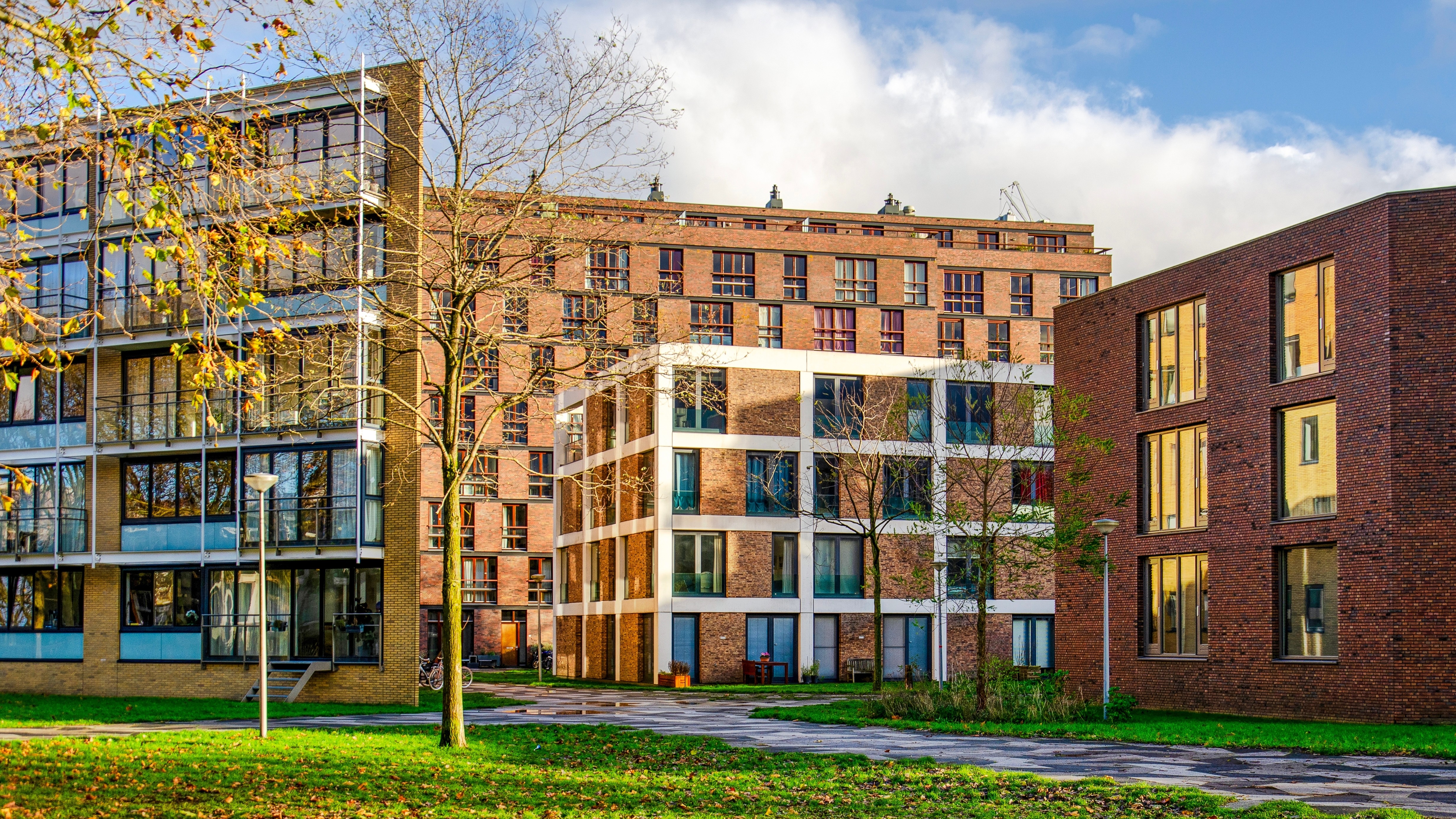 Foto: Frans Blok / Shutterstock.com
