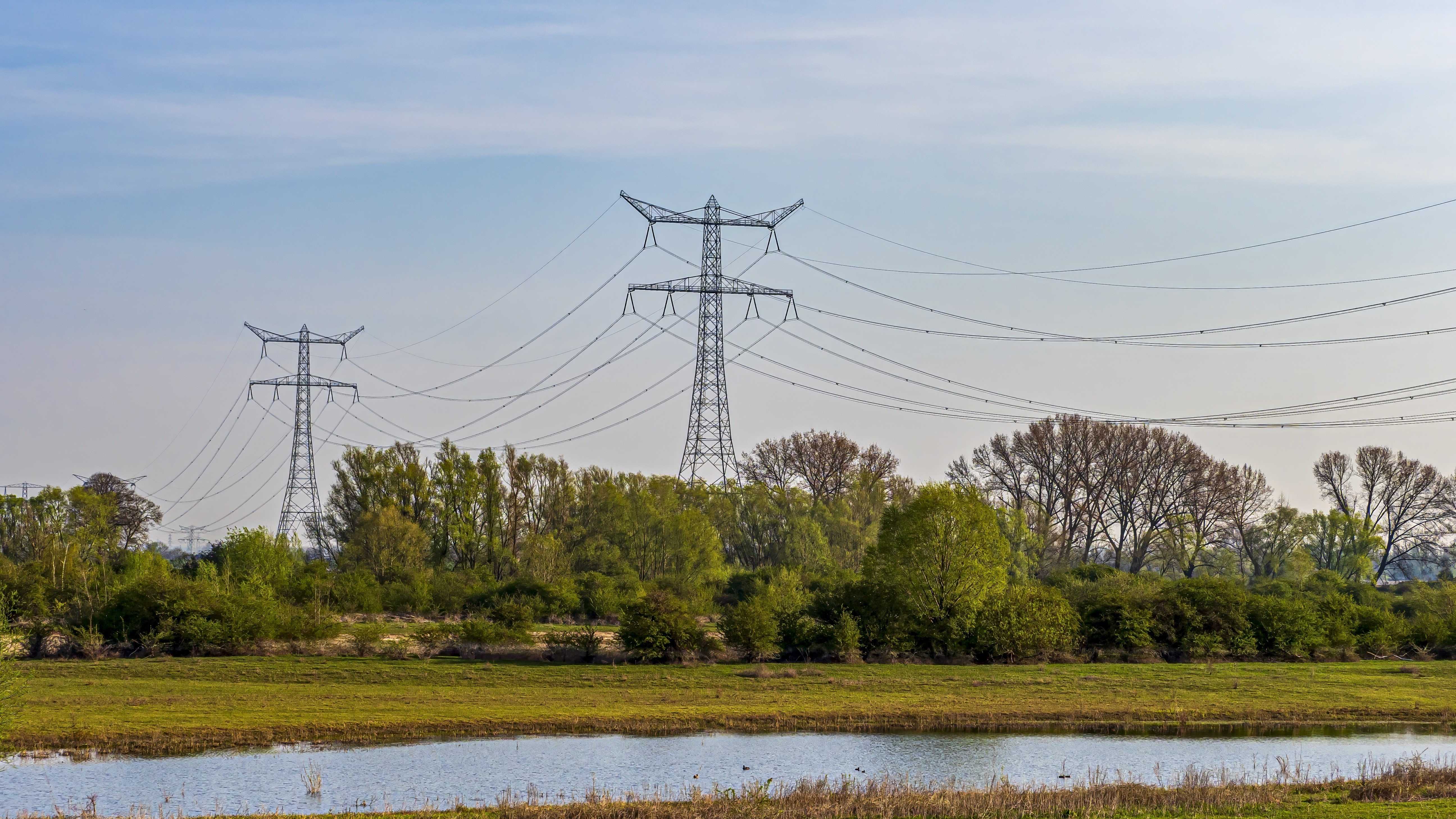 Foto: Luc V. de Zeeuw / Shutterstock.com