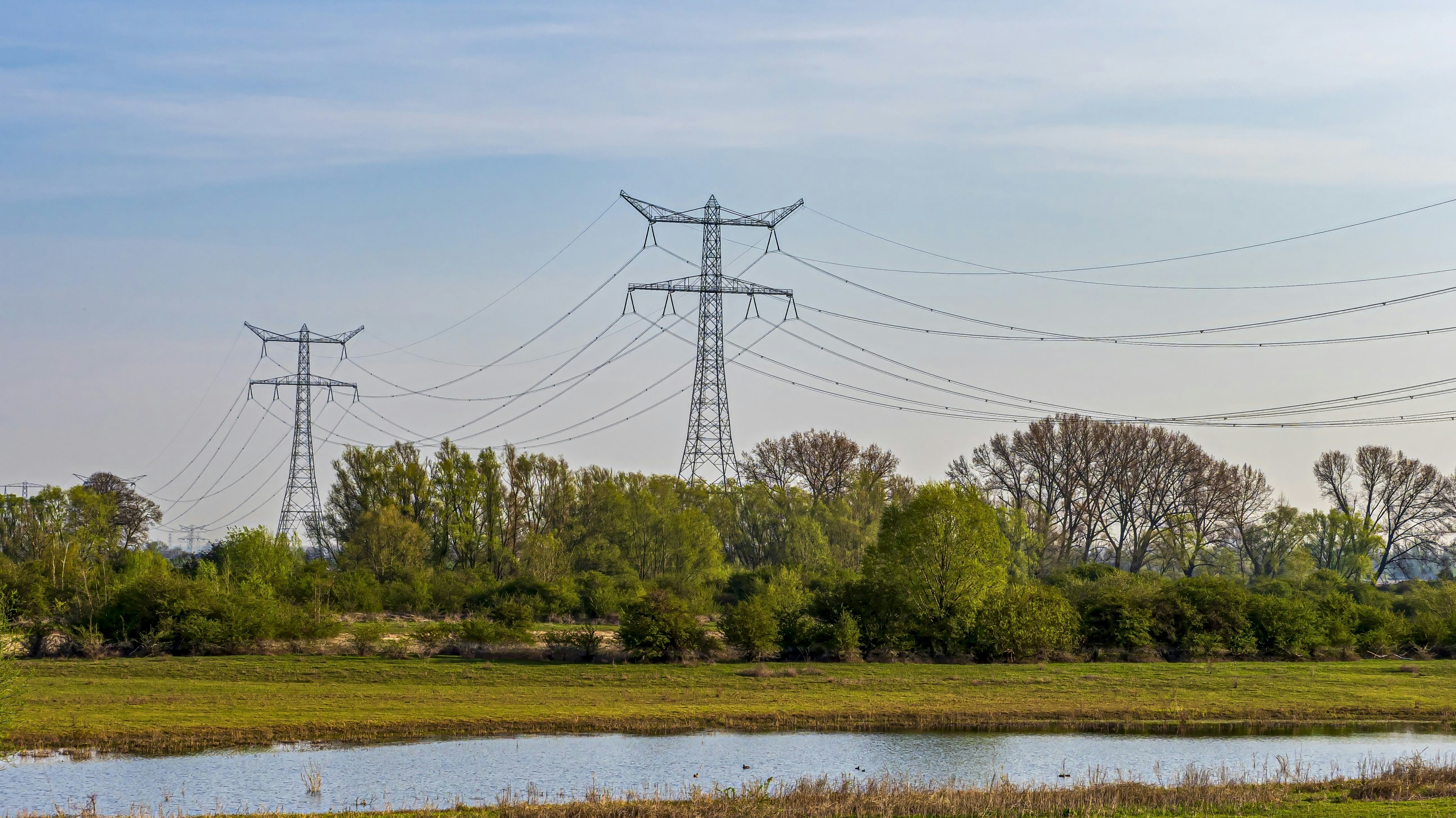 Foto: Luc V. de Zeeuw / Shutterstock.com