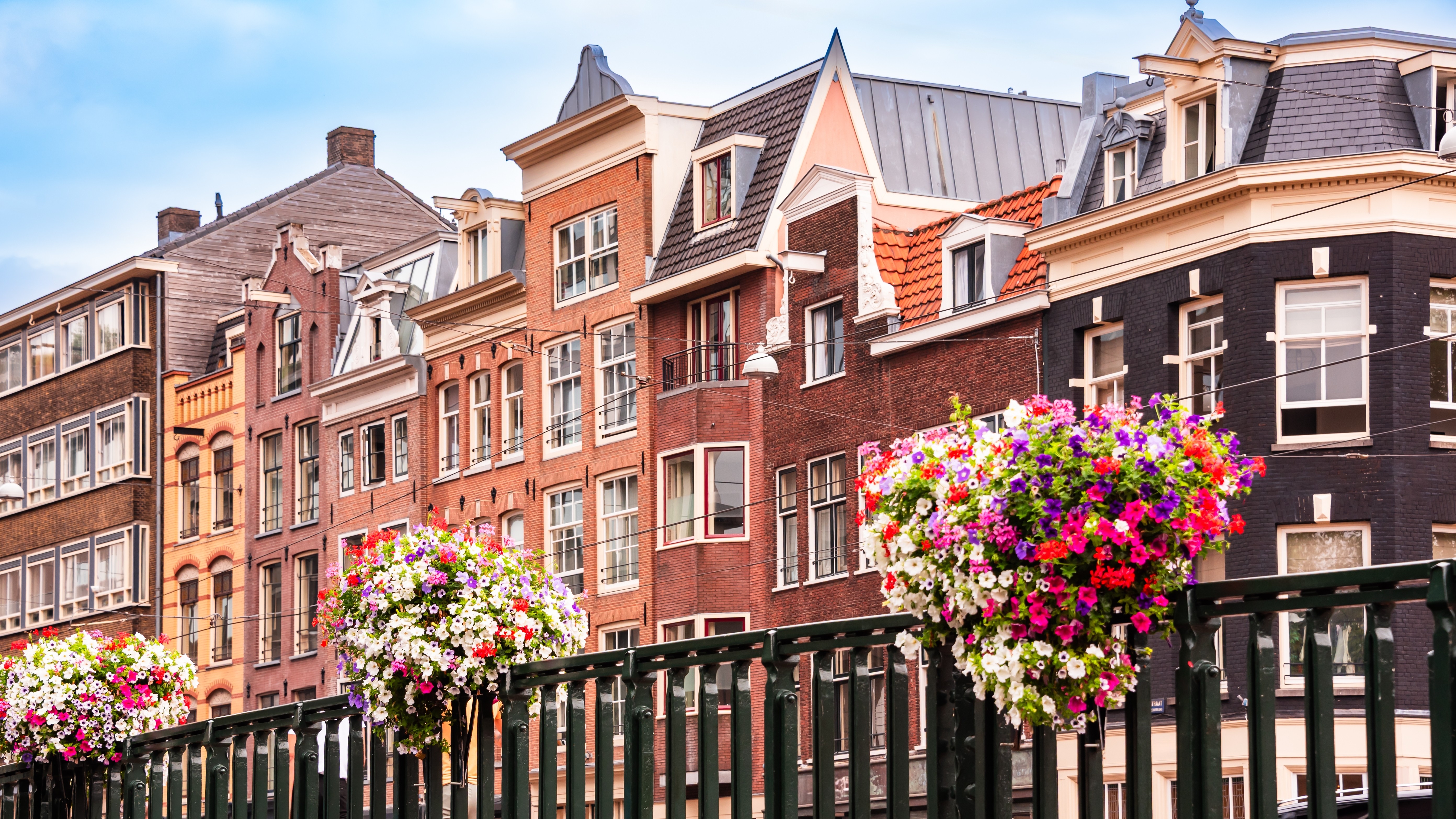 Foto: Maria_Usp / Shutterstock.com