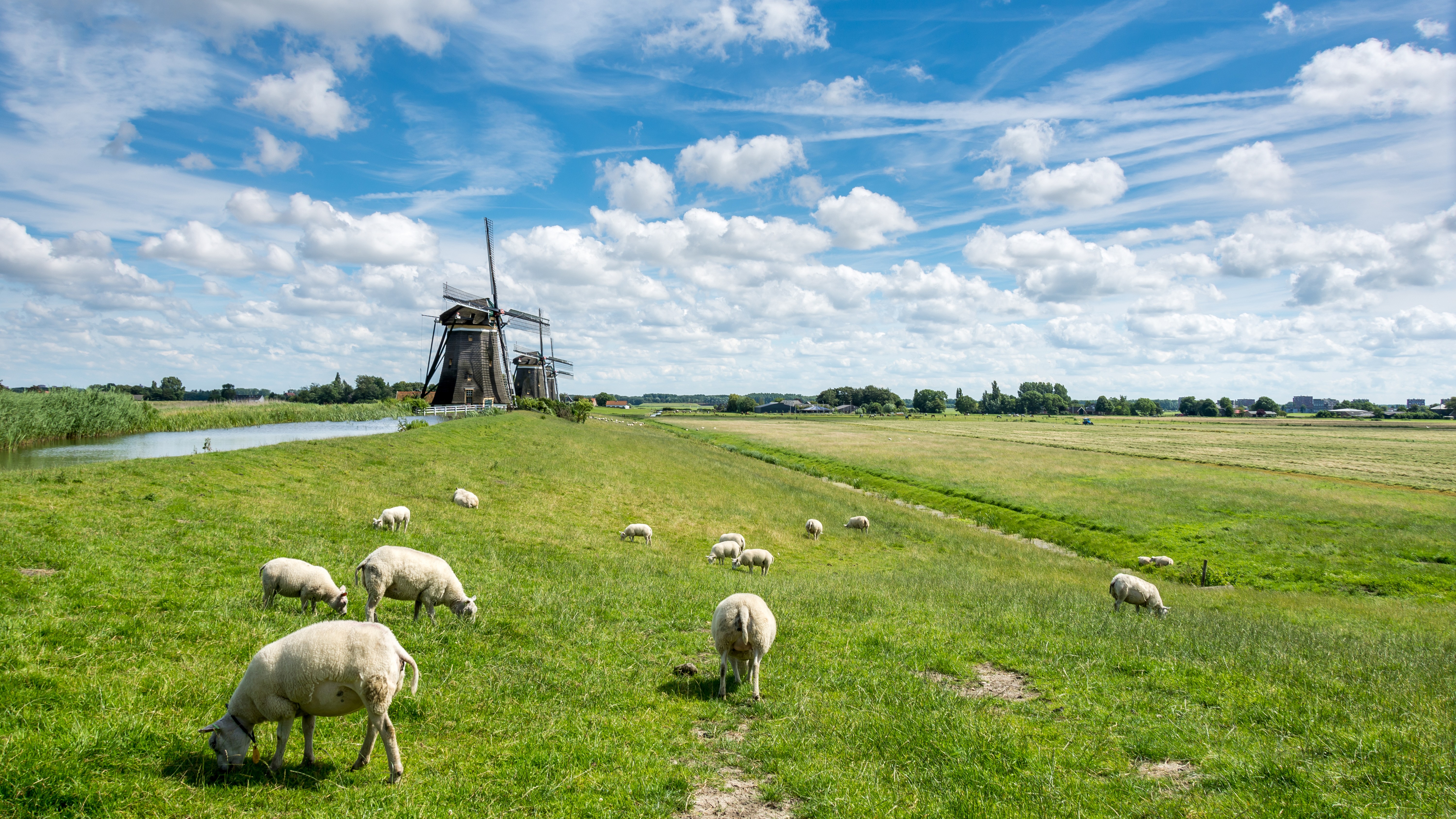 Foto: Jolanda Aalbers/Shutterstock.com