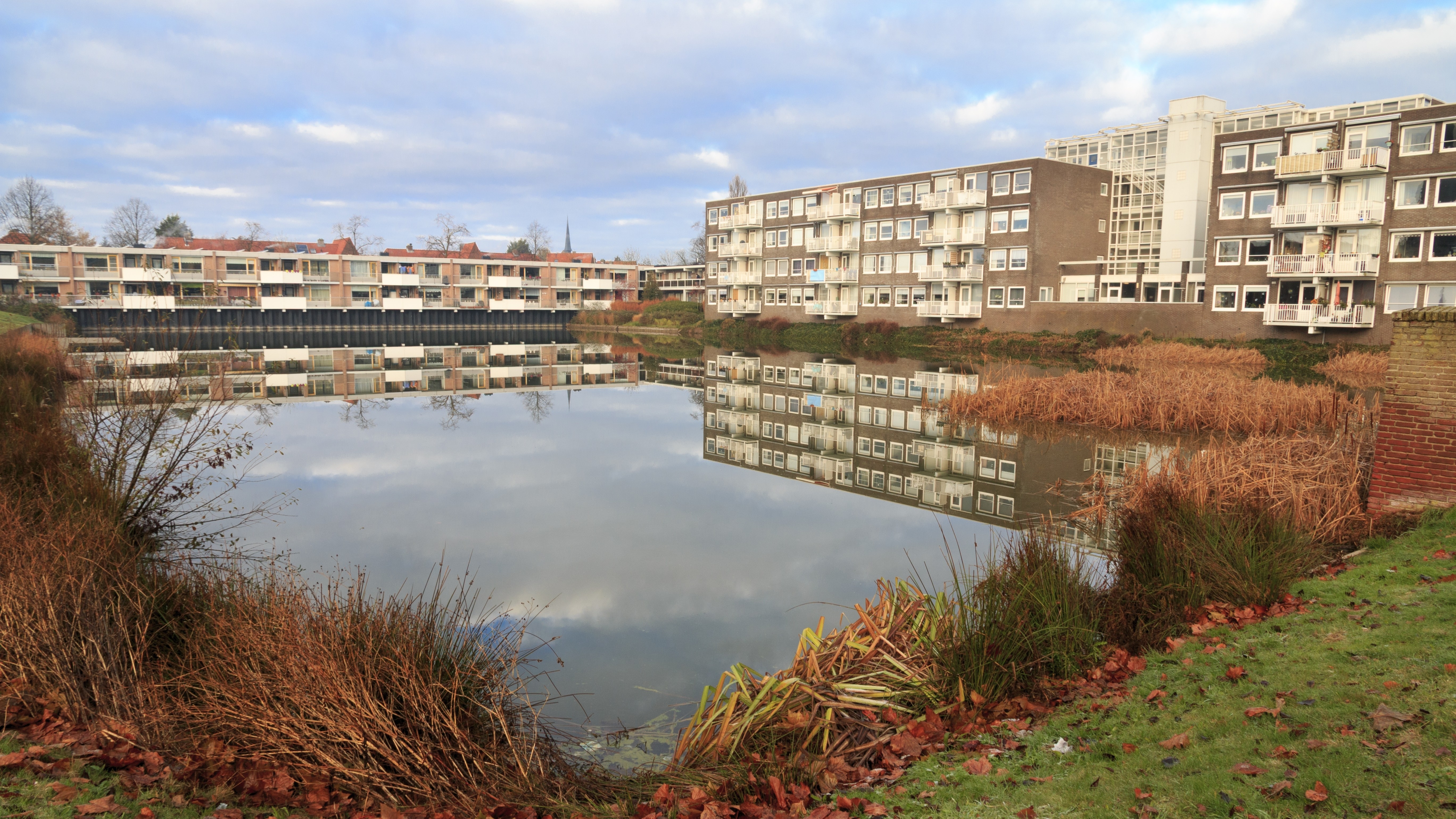 Foto: Emily Marie Wilson / Shutterstock.com