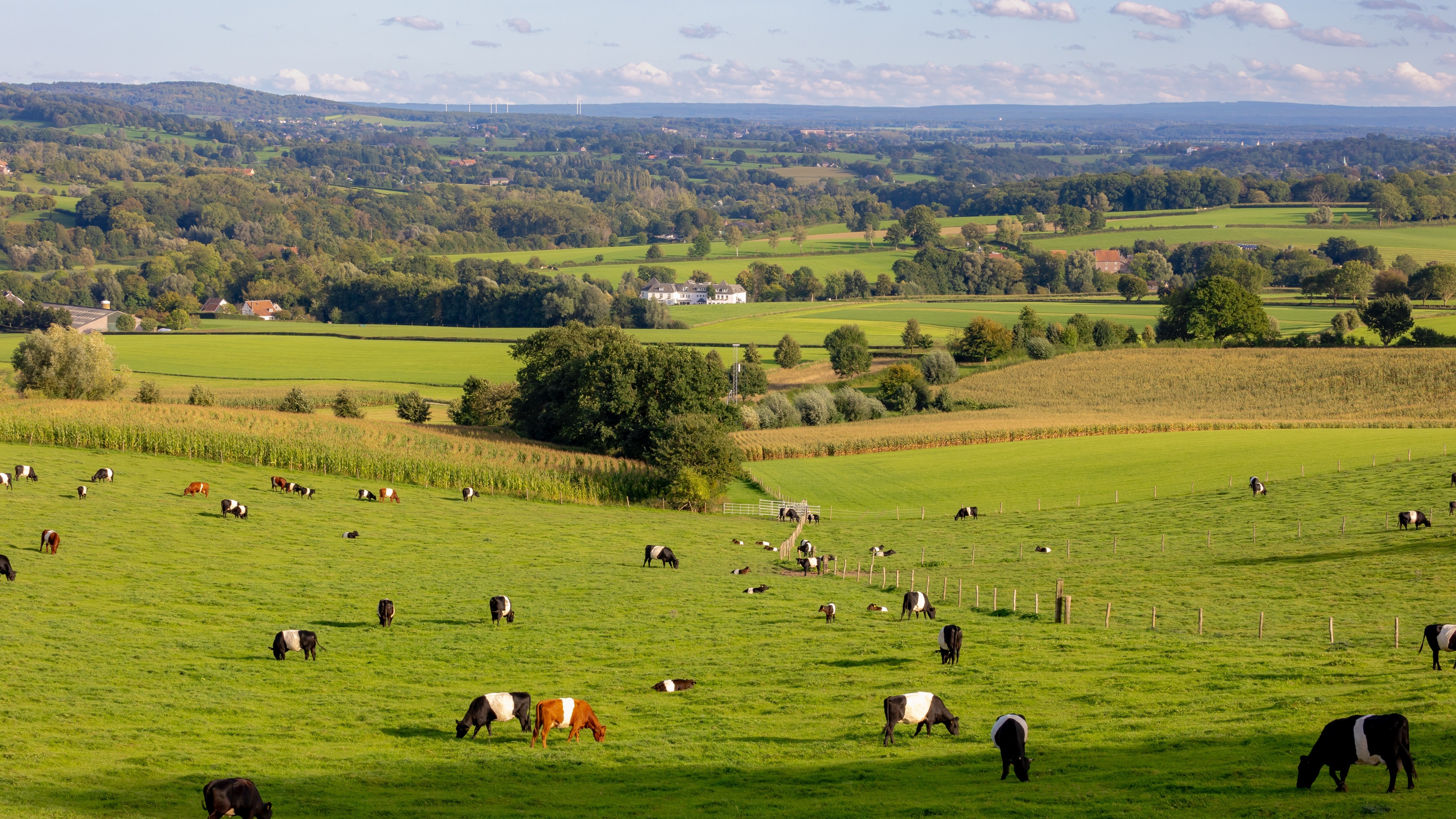 Foto: Wut_Moppie / Shutterstock.com