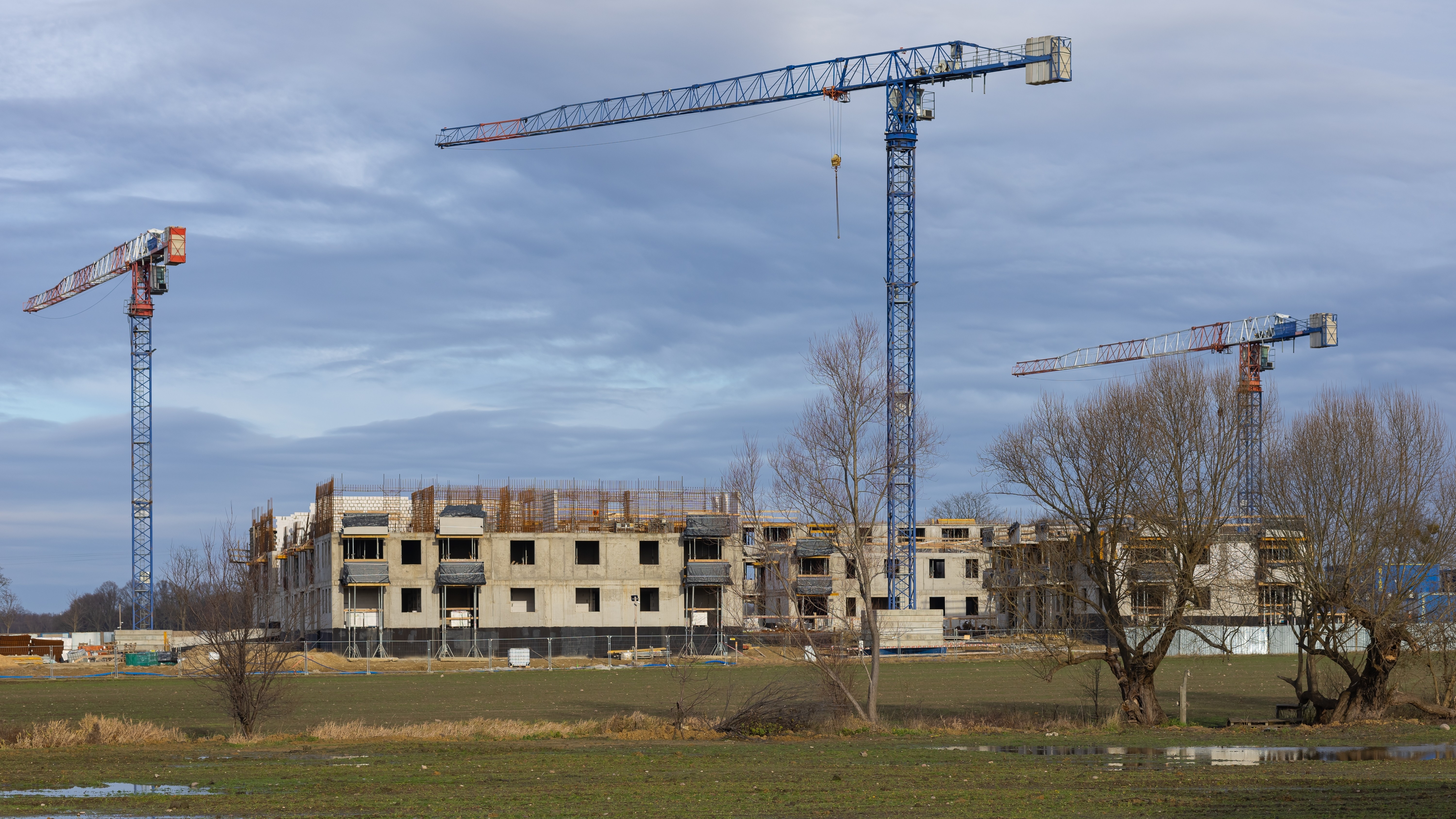 Foto: Volha Ushanava / Shutterstock.com