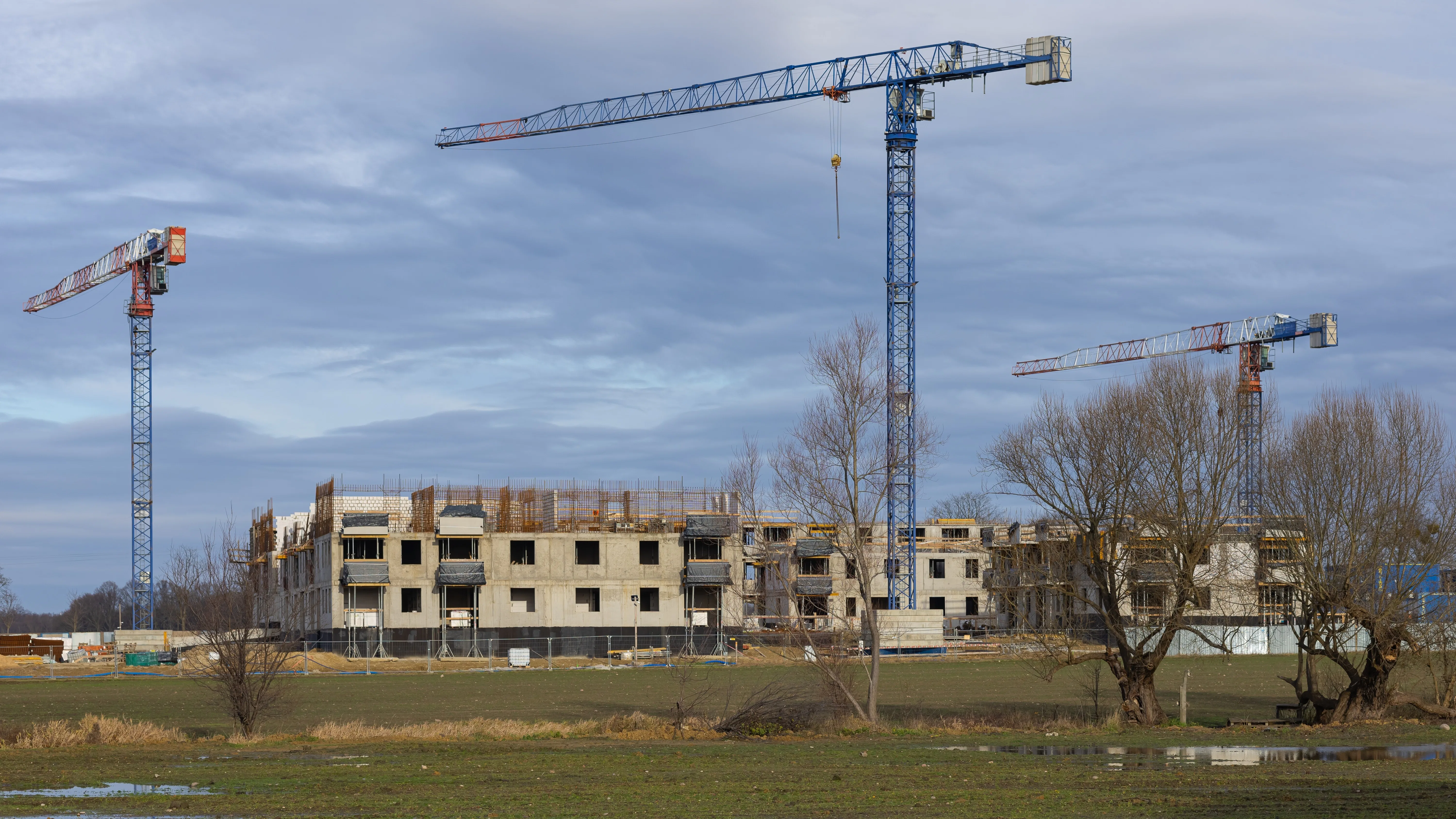 Foto: Volha Ushanava / Shutterstock.com