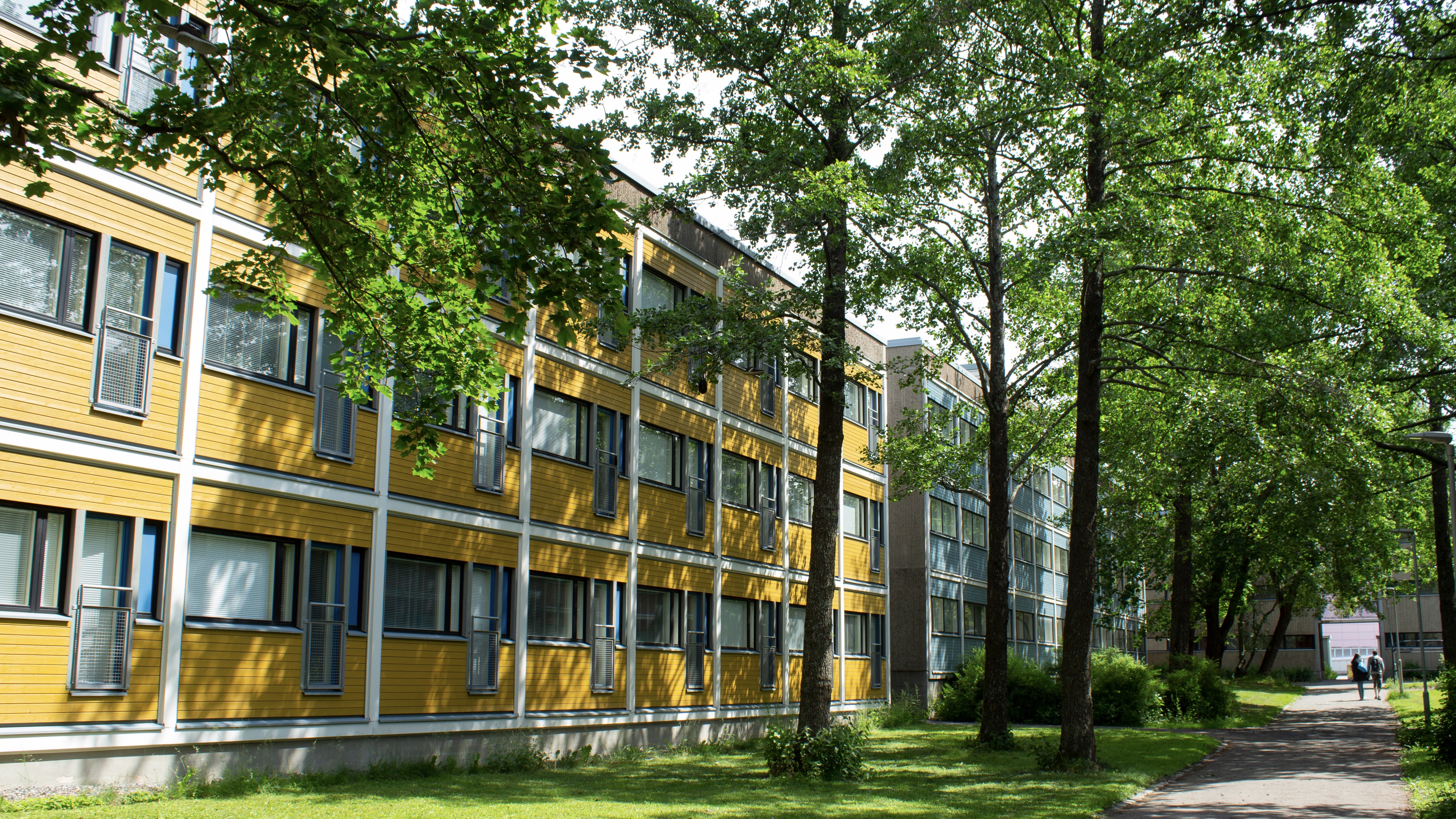 Foto: Natali9ka / Shutterstock.com