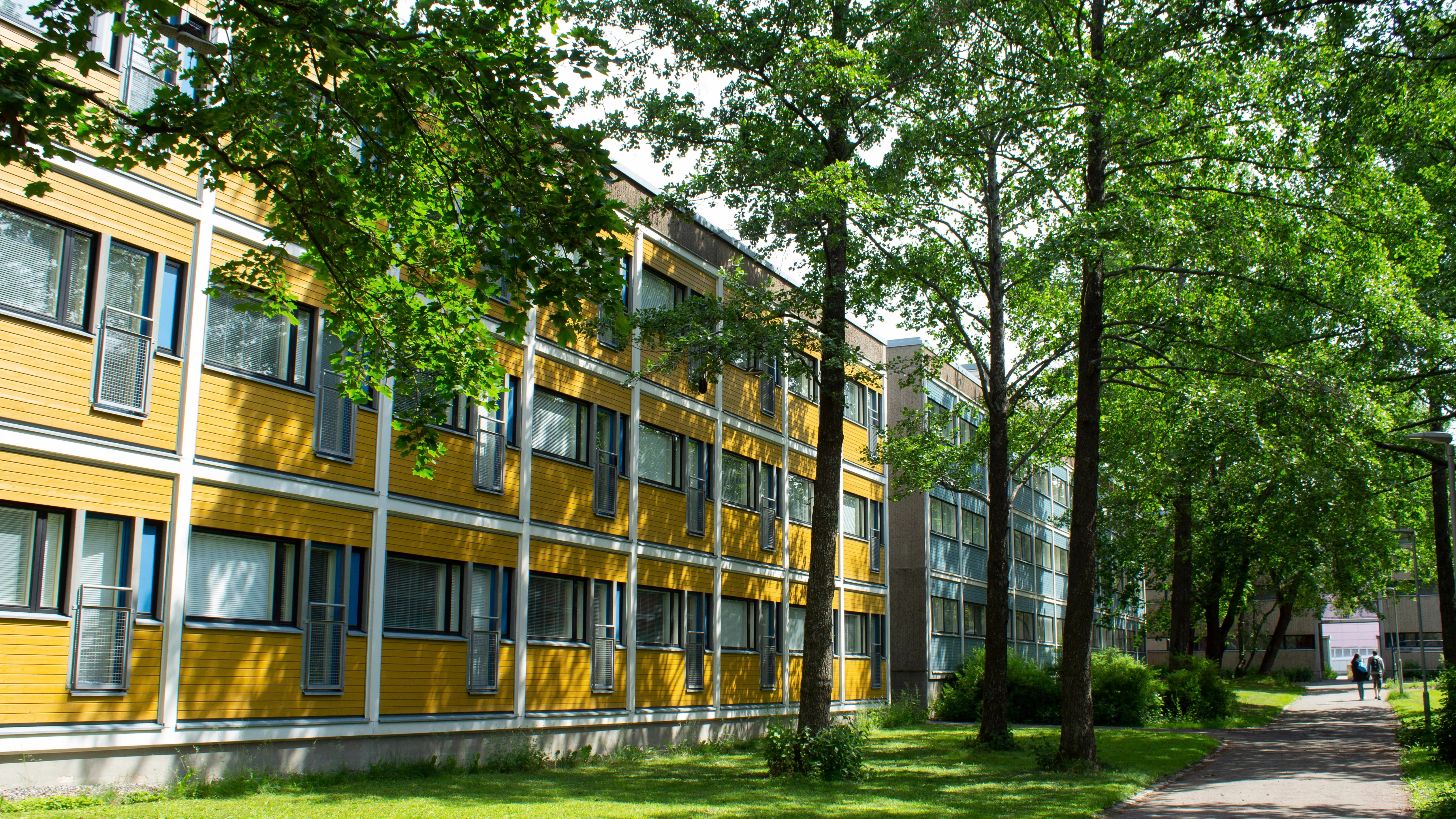 Foto: Natali9ka / Shutterstock.com