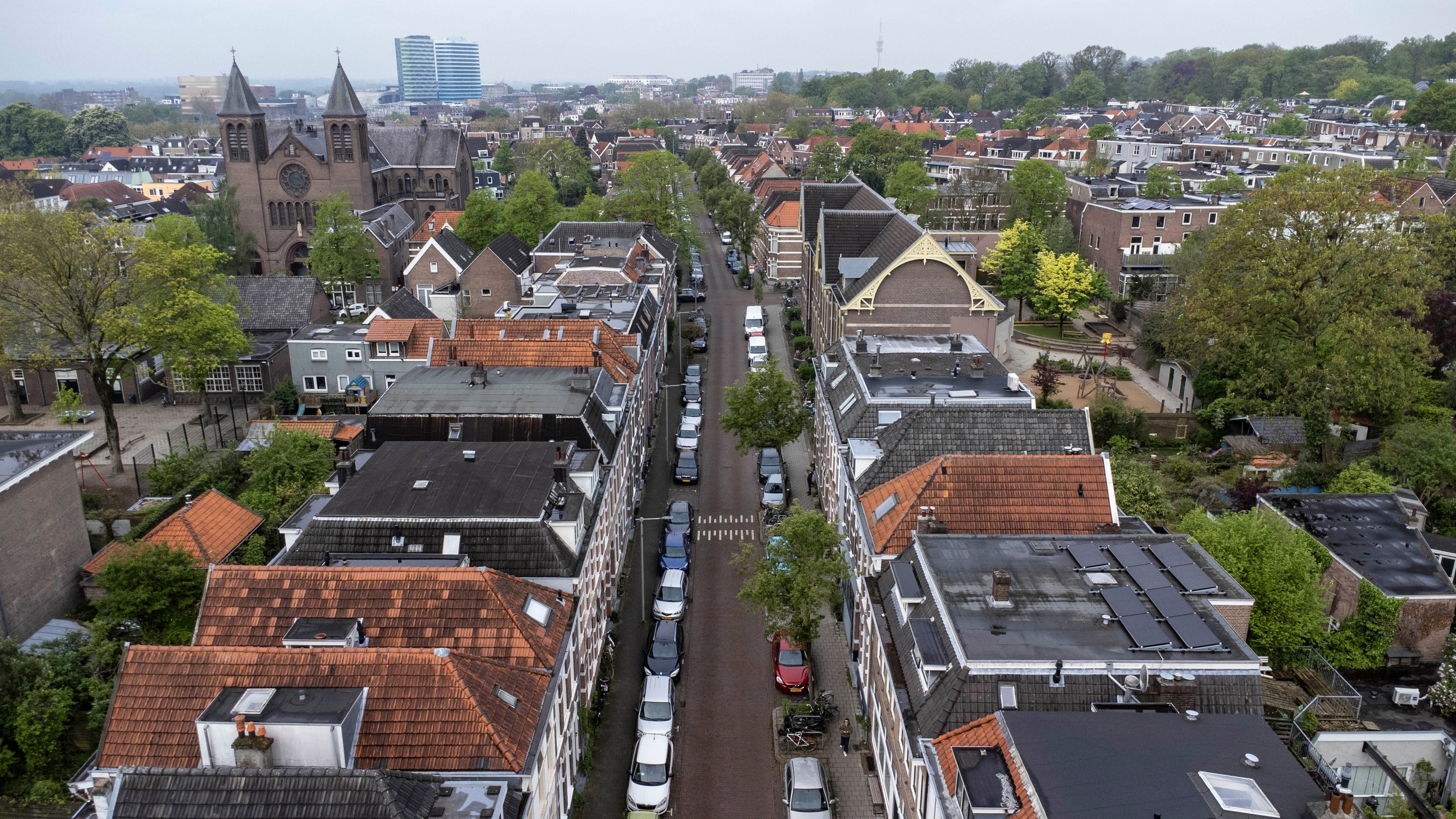 Foto: Paul Klein NL / Shutterstock.com