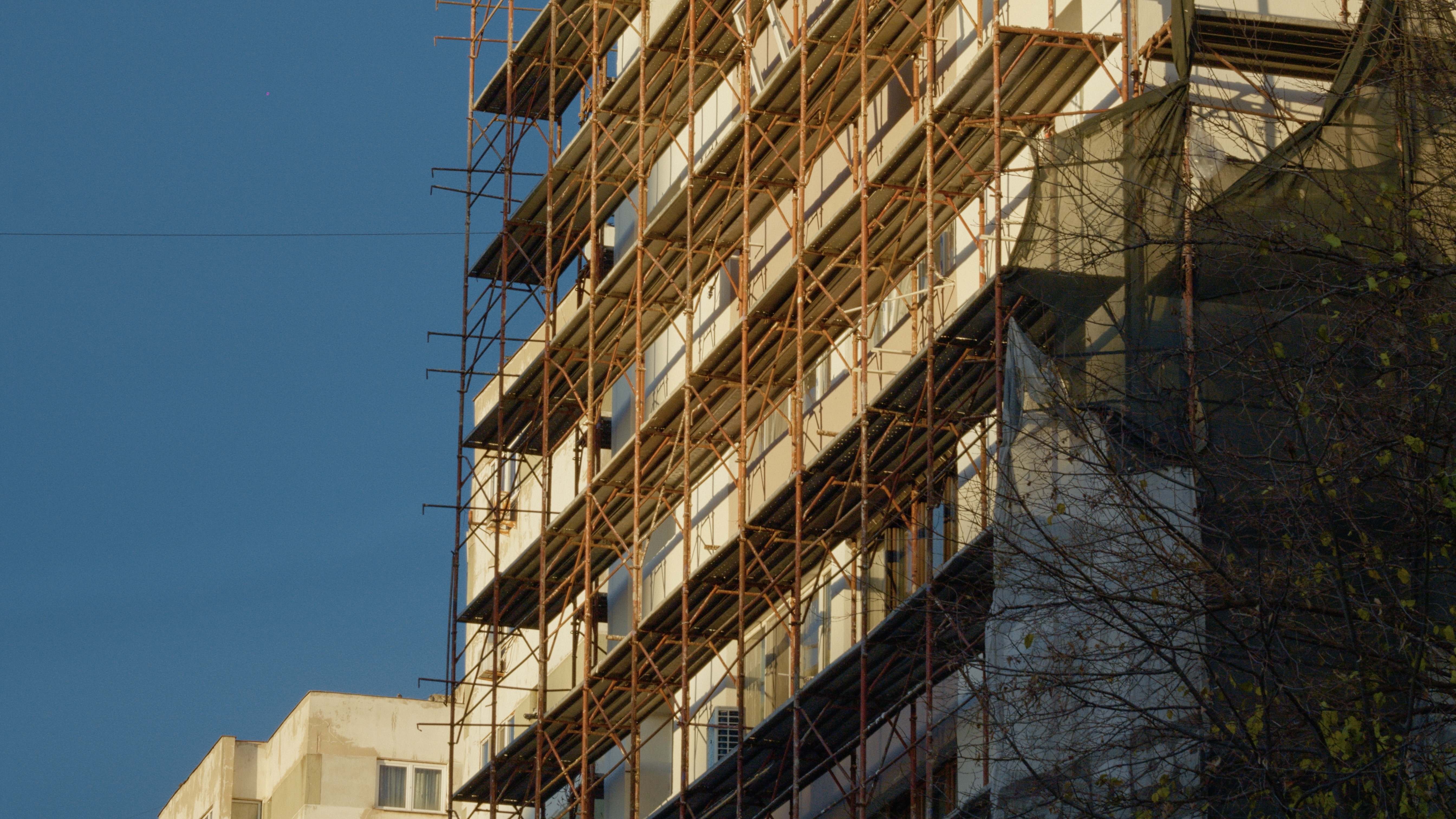 Foto: RecCameraStock / Shutterstock.com