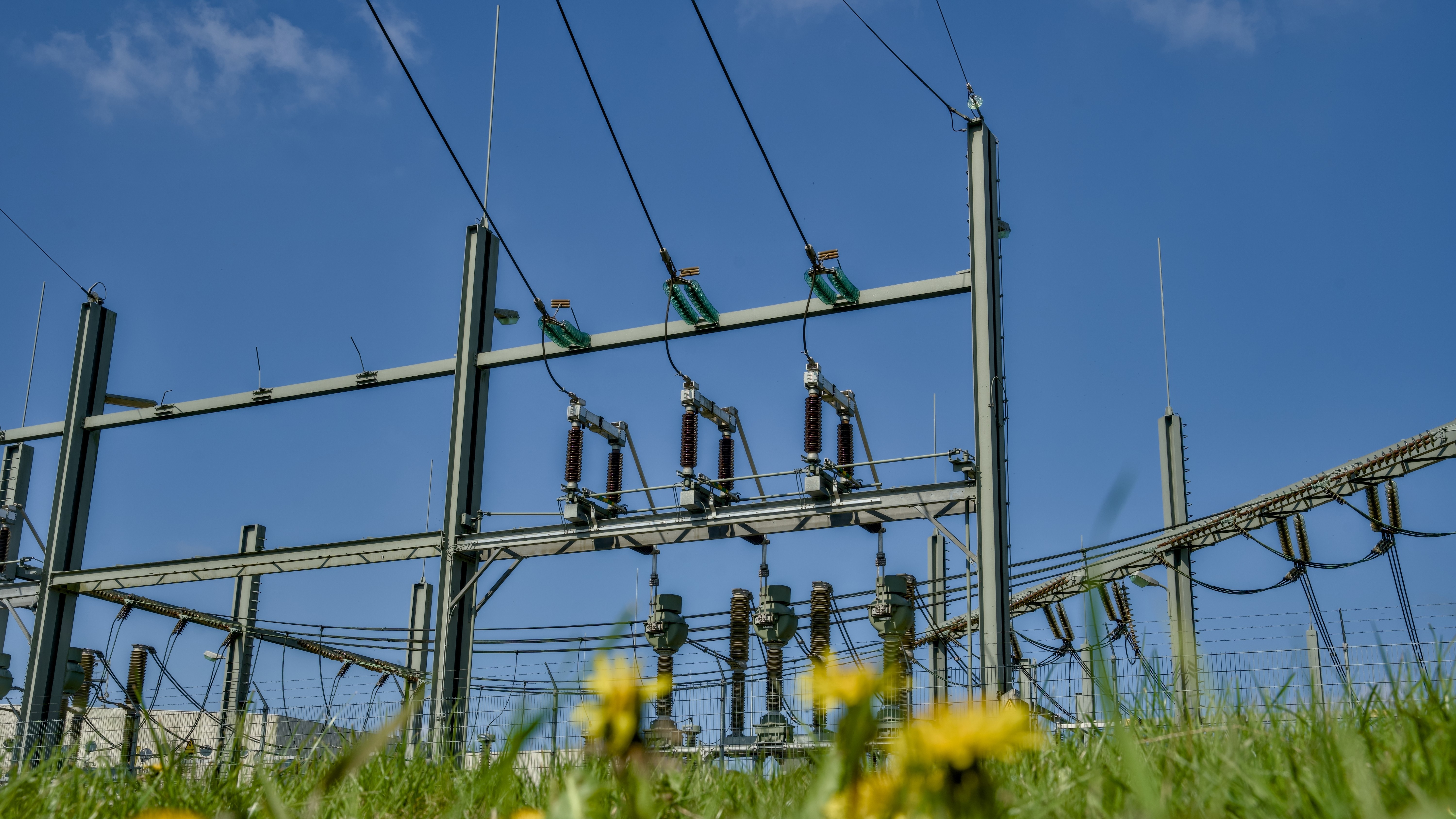 Foto: Rene Notenbomer / Shutterstock.com