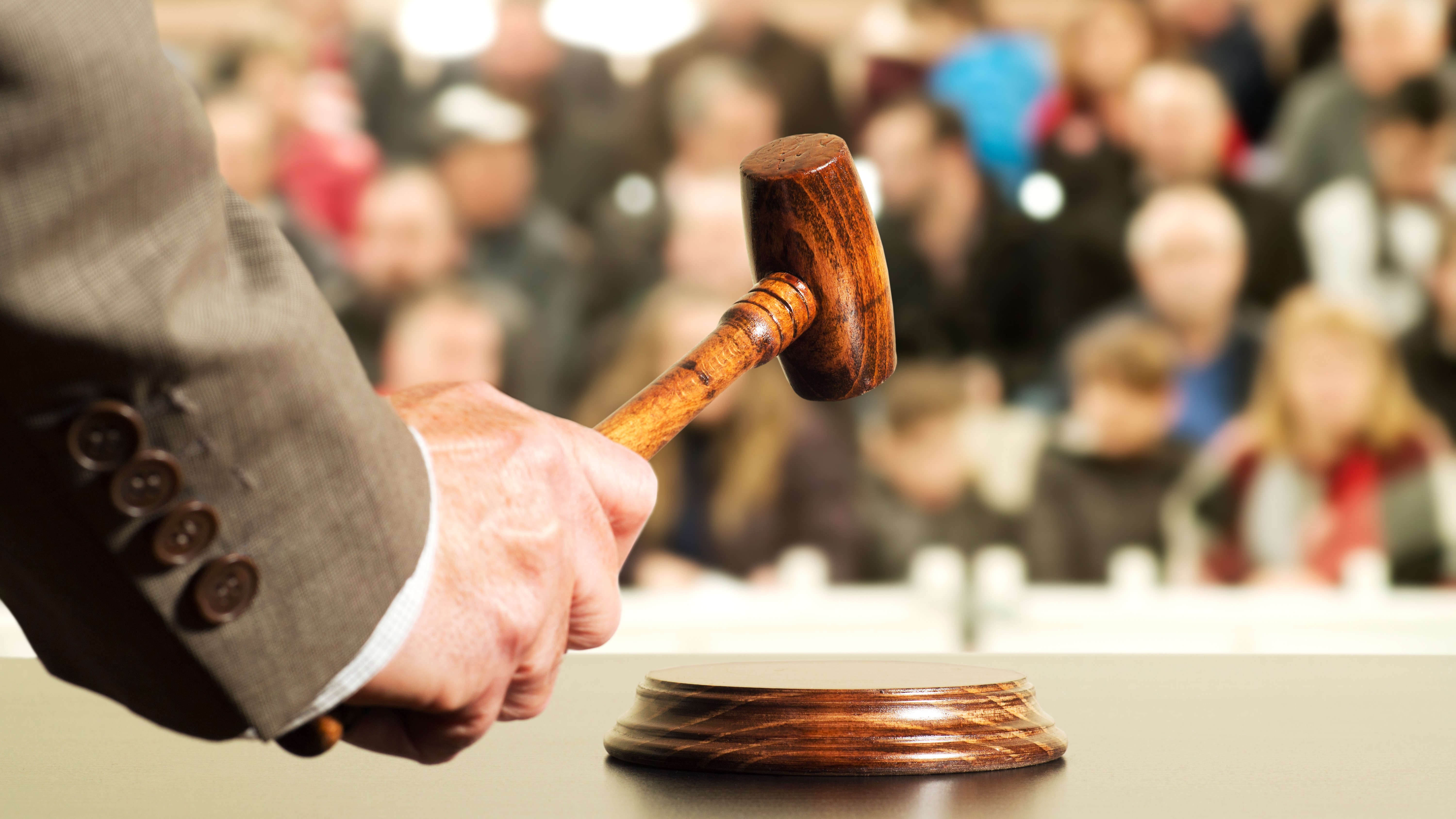 Foto: Gena Melendrez / Shutterstock.com