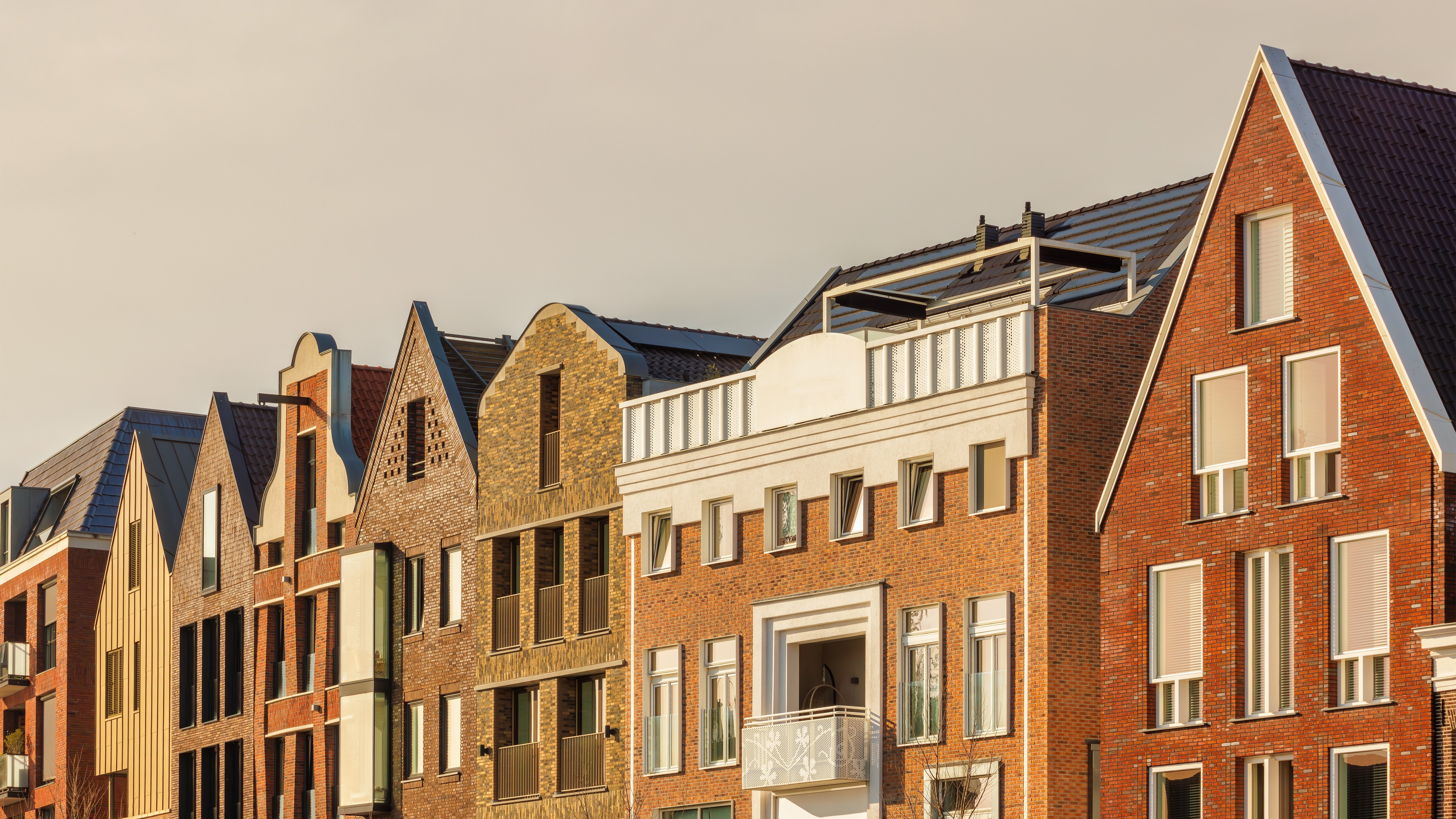 Foto: Martin Bergsma / Shutterstock.com