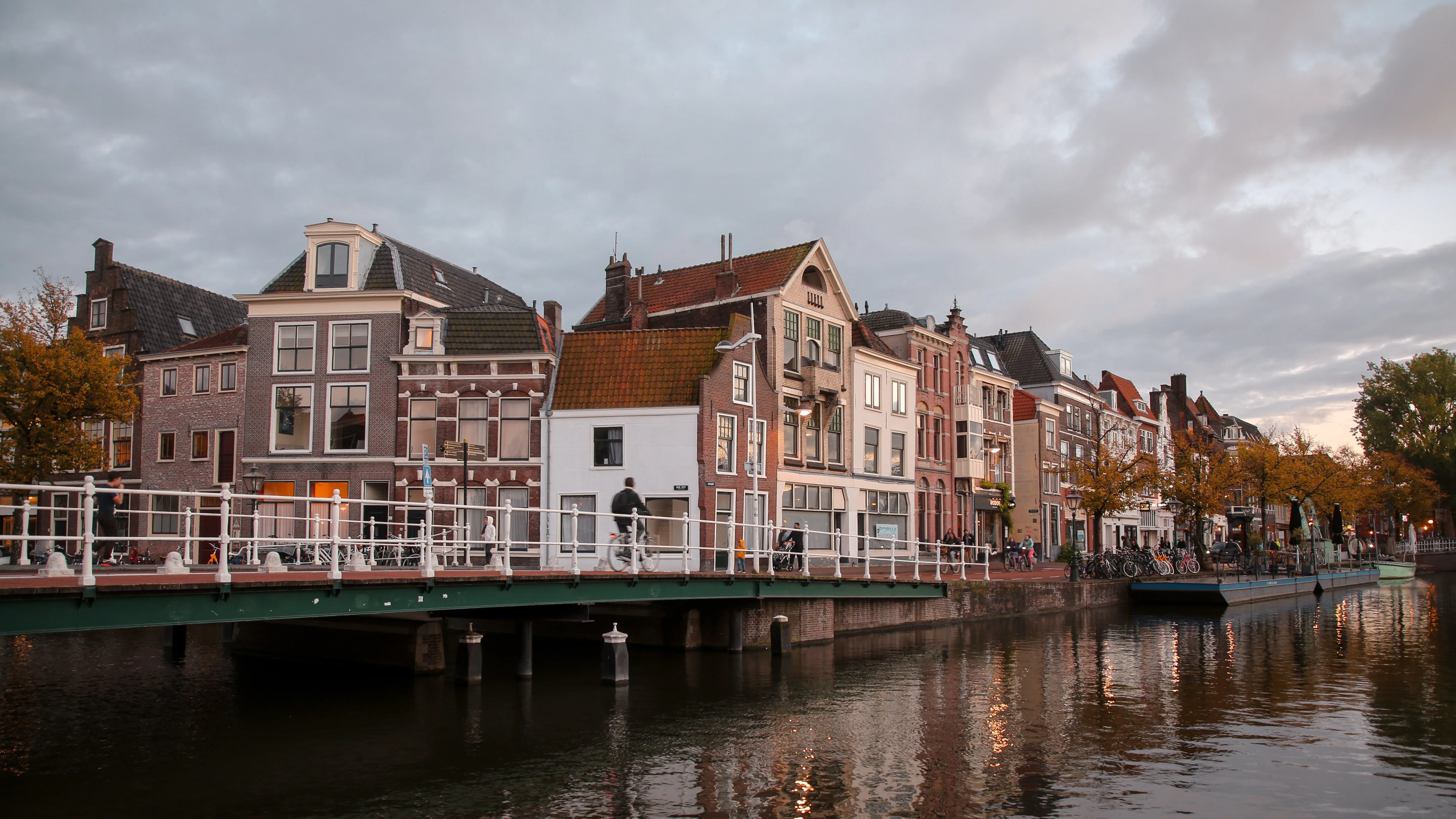 Foto: ColorMaker / Shutterstock.com