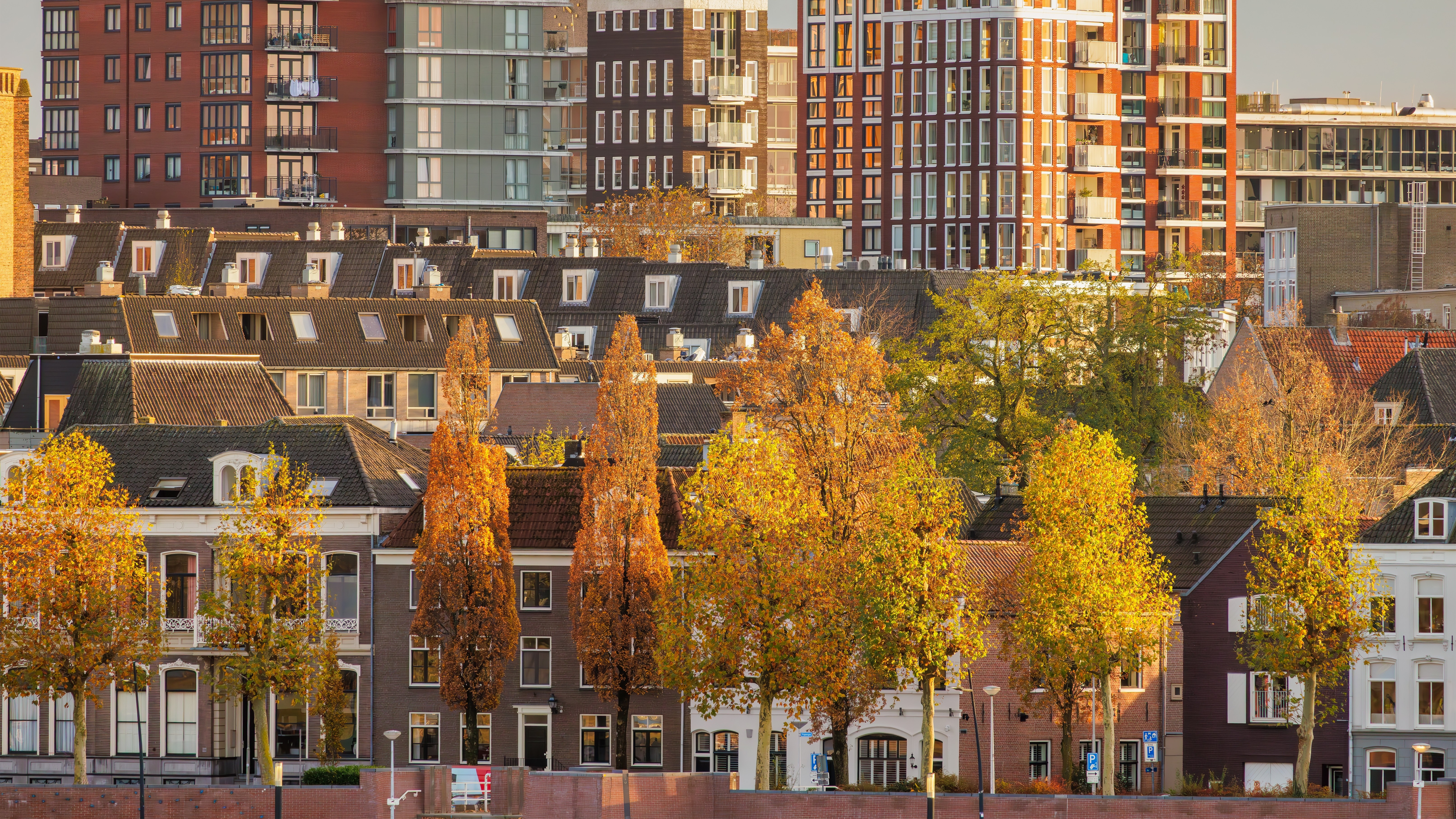 Foto: Martin Bergsma / Shutterstock.com