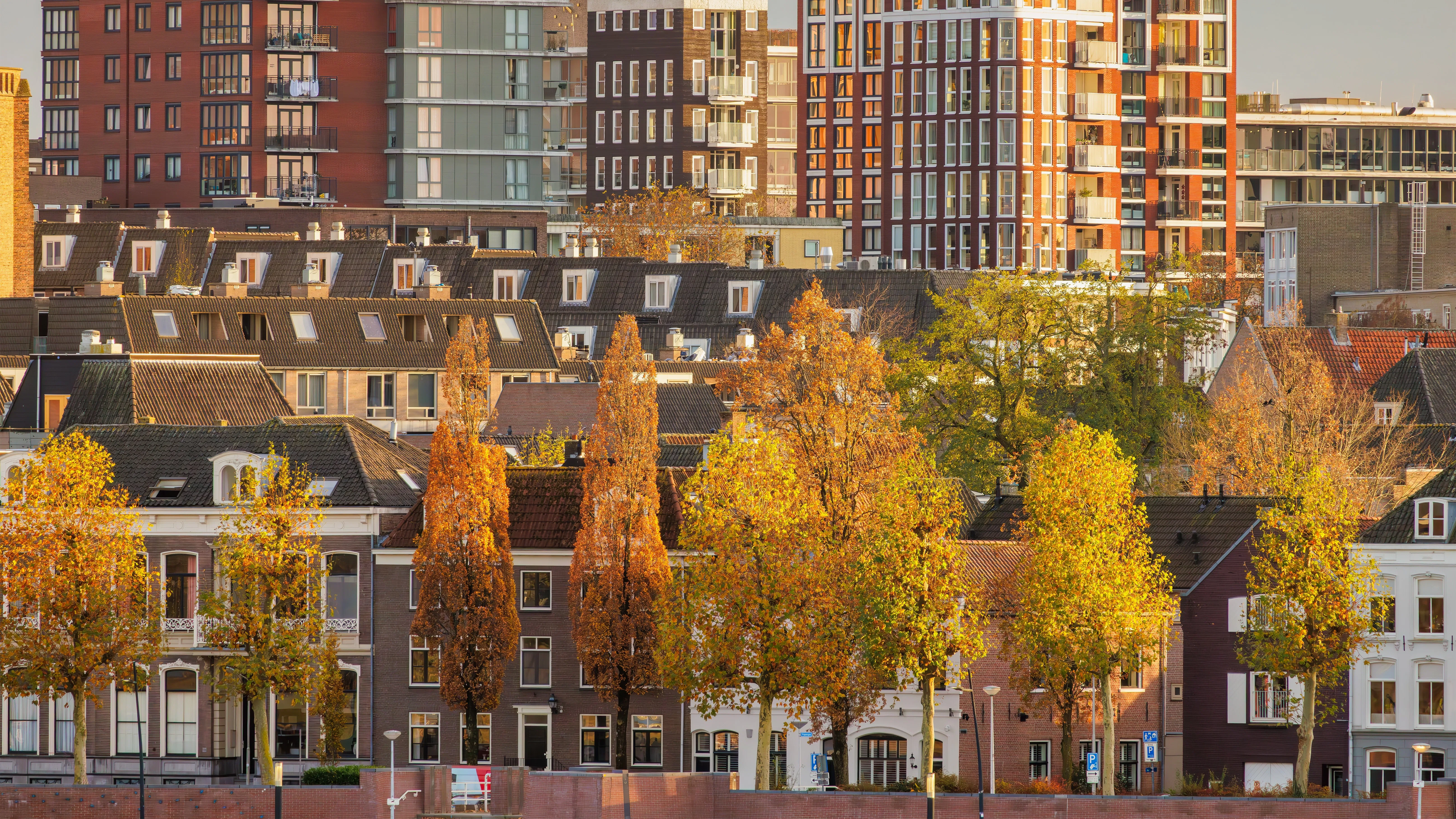 Foto: Martin Bergsma / Shutterstock.com