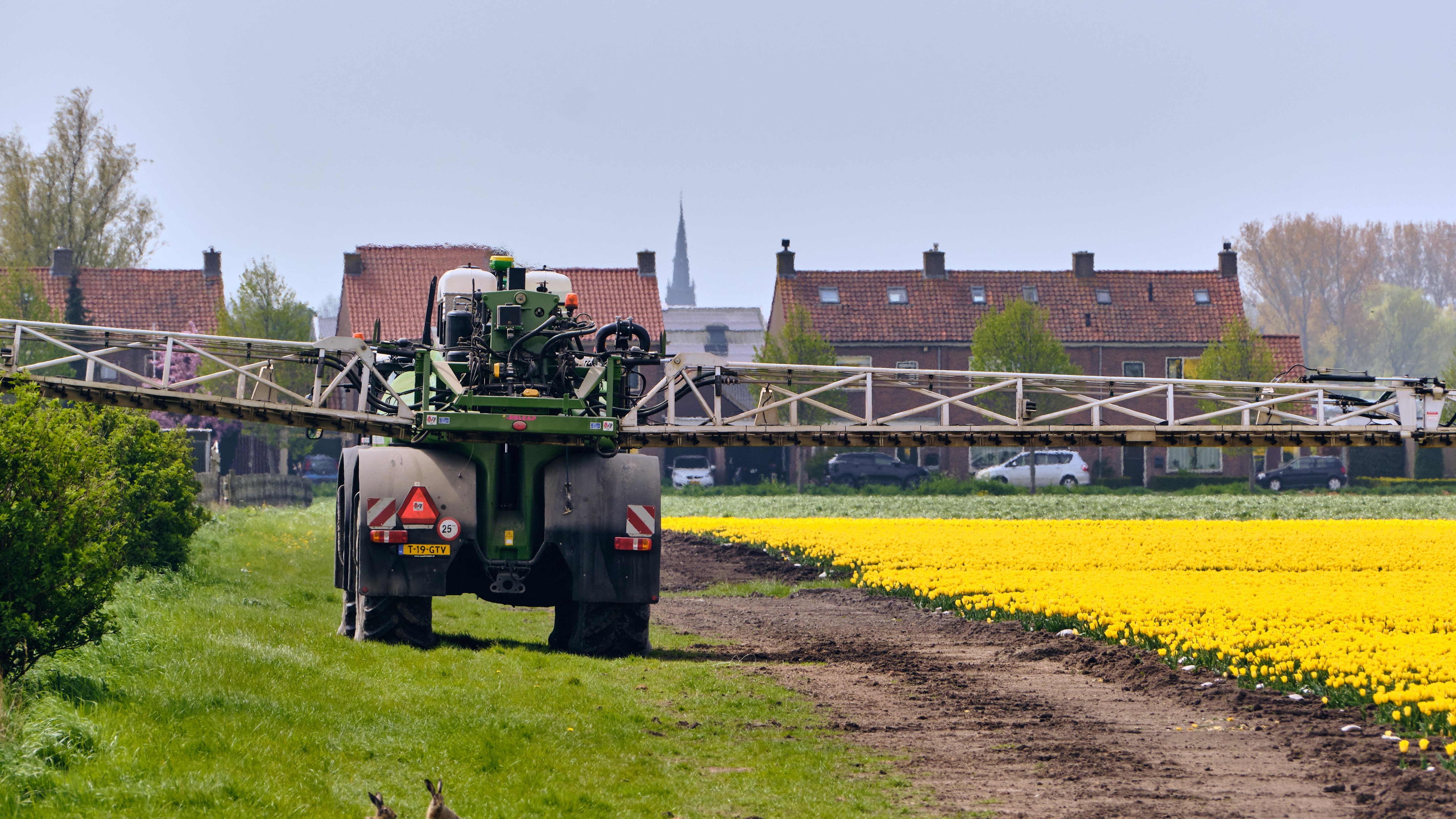 Foto: VeugerStock / Shutterstock.com