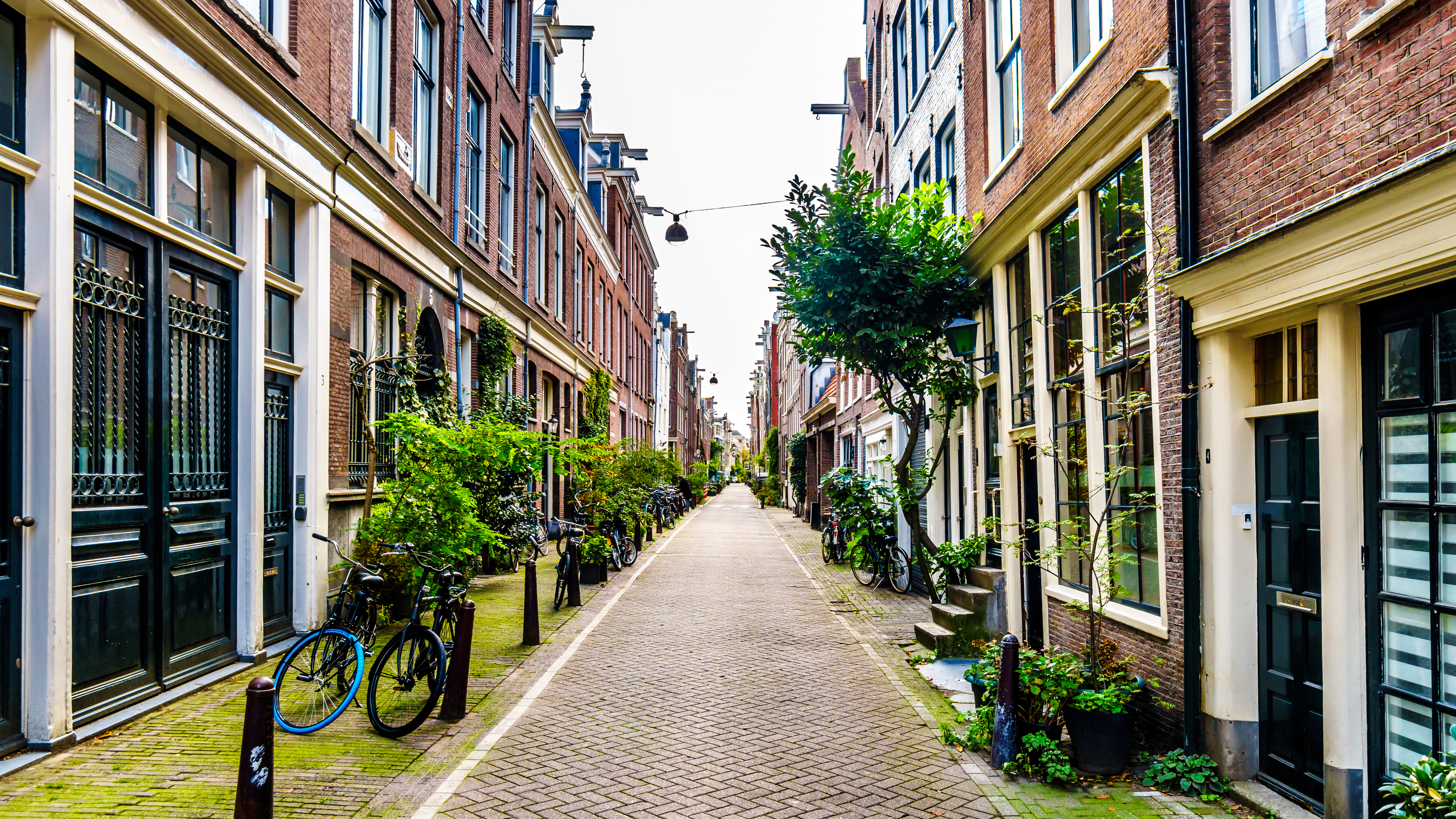 Foto: Harry Beugelink / Shutterstock.com
