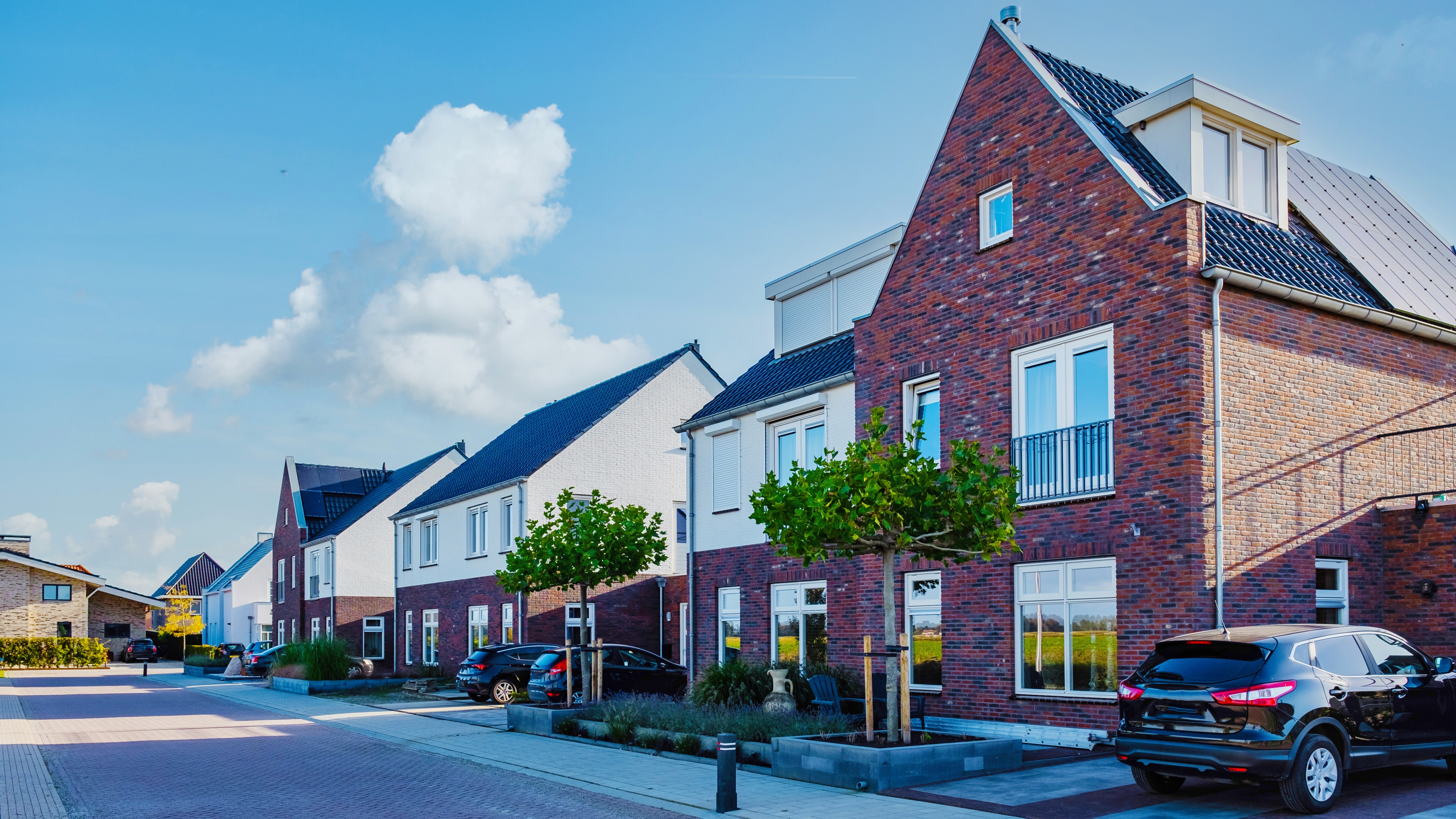 Foto: fokke baarssen / Shutterstock.com
