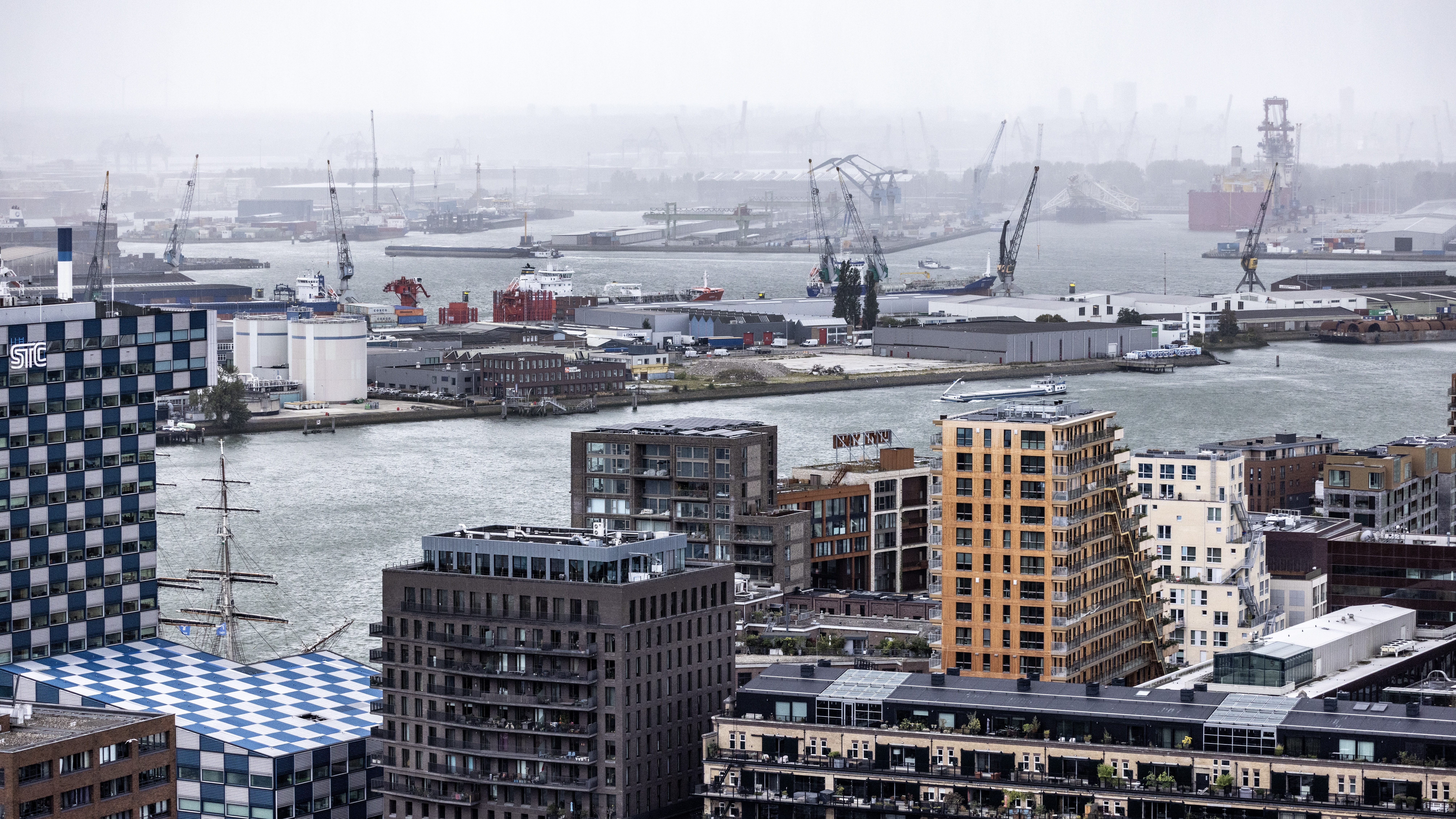 Foto: 4kclips / Shutterstock.com
