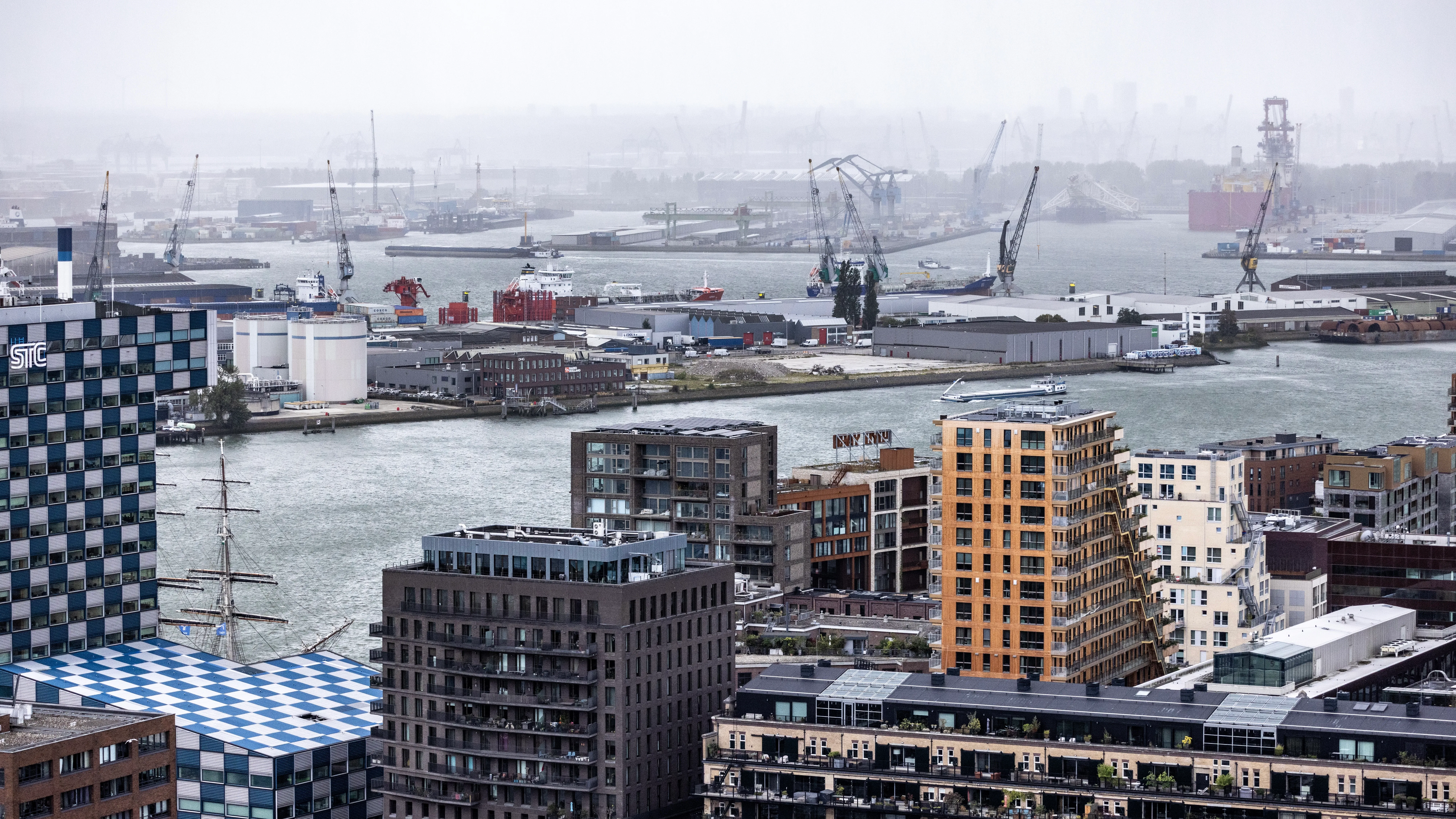 Foto: 4kclips / Shutterstock.com