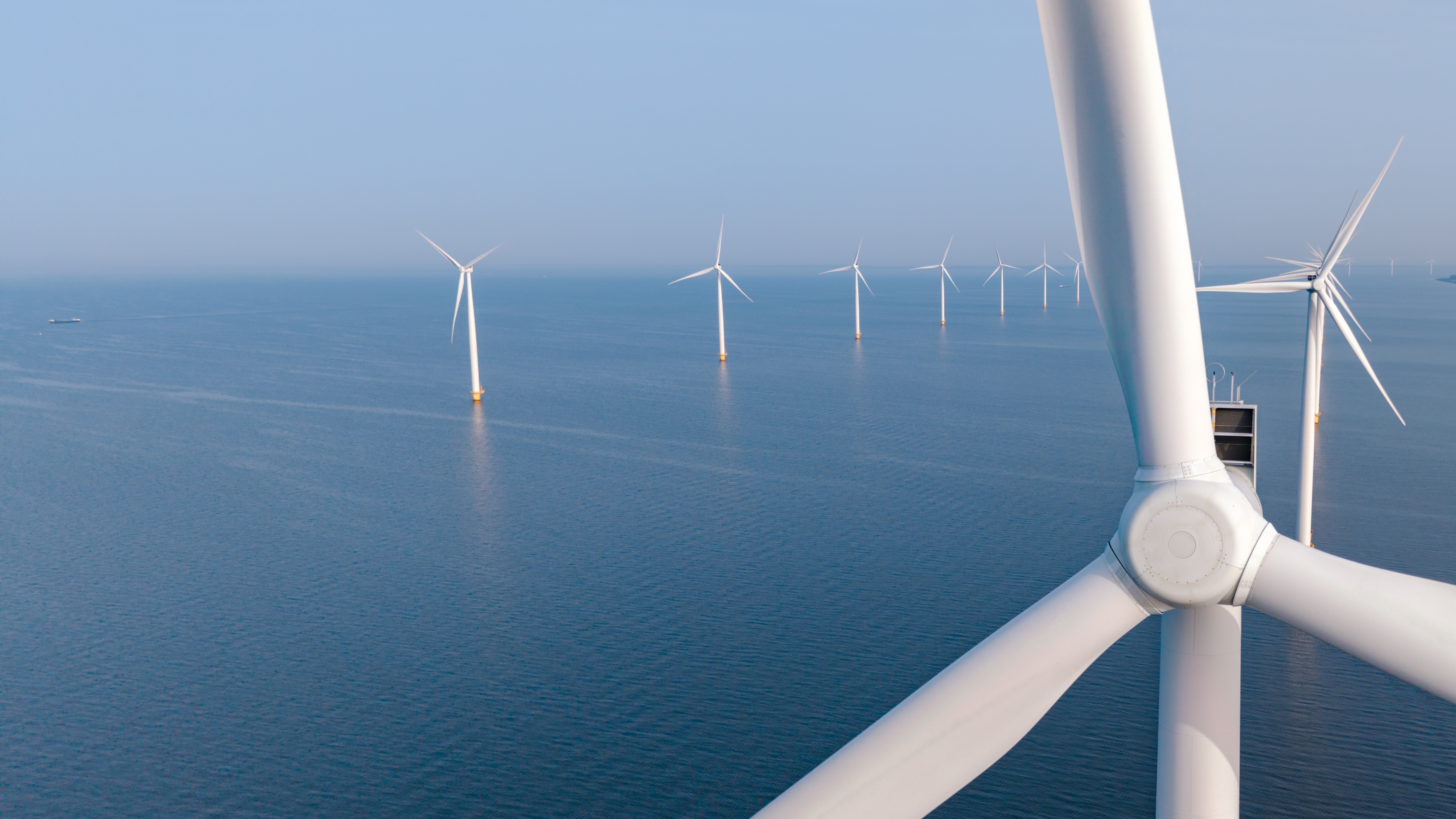 Foto: fokke baarssen / Shutterstock.com

