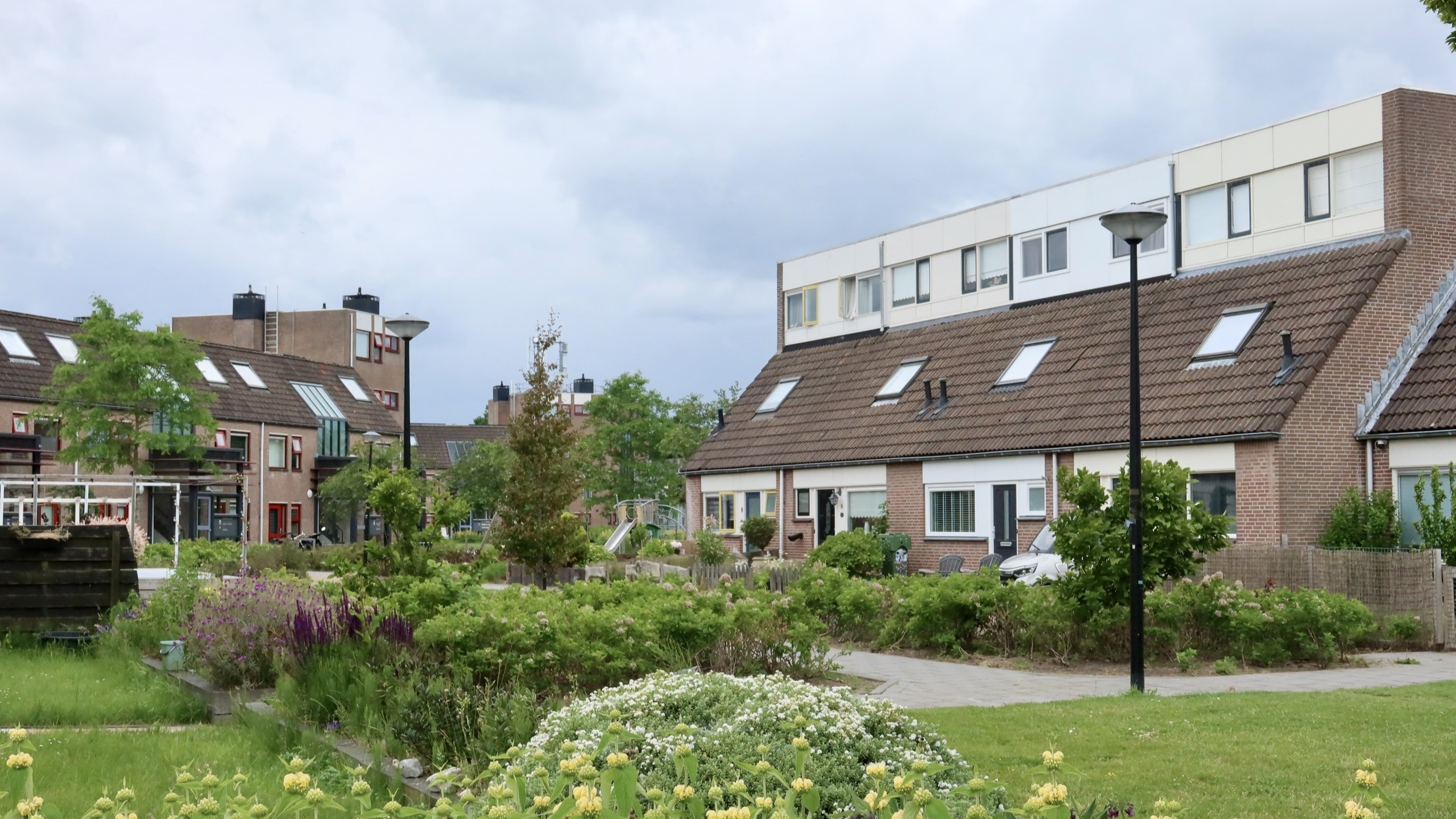 Foto: Yuliia24 / Shutterstock