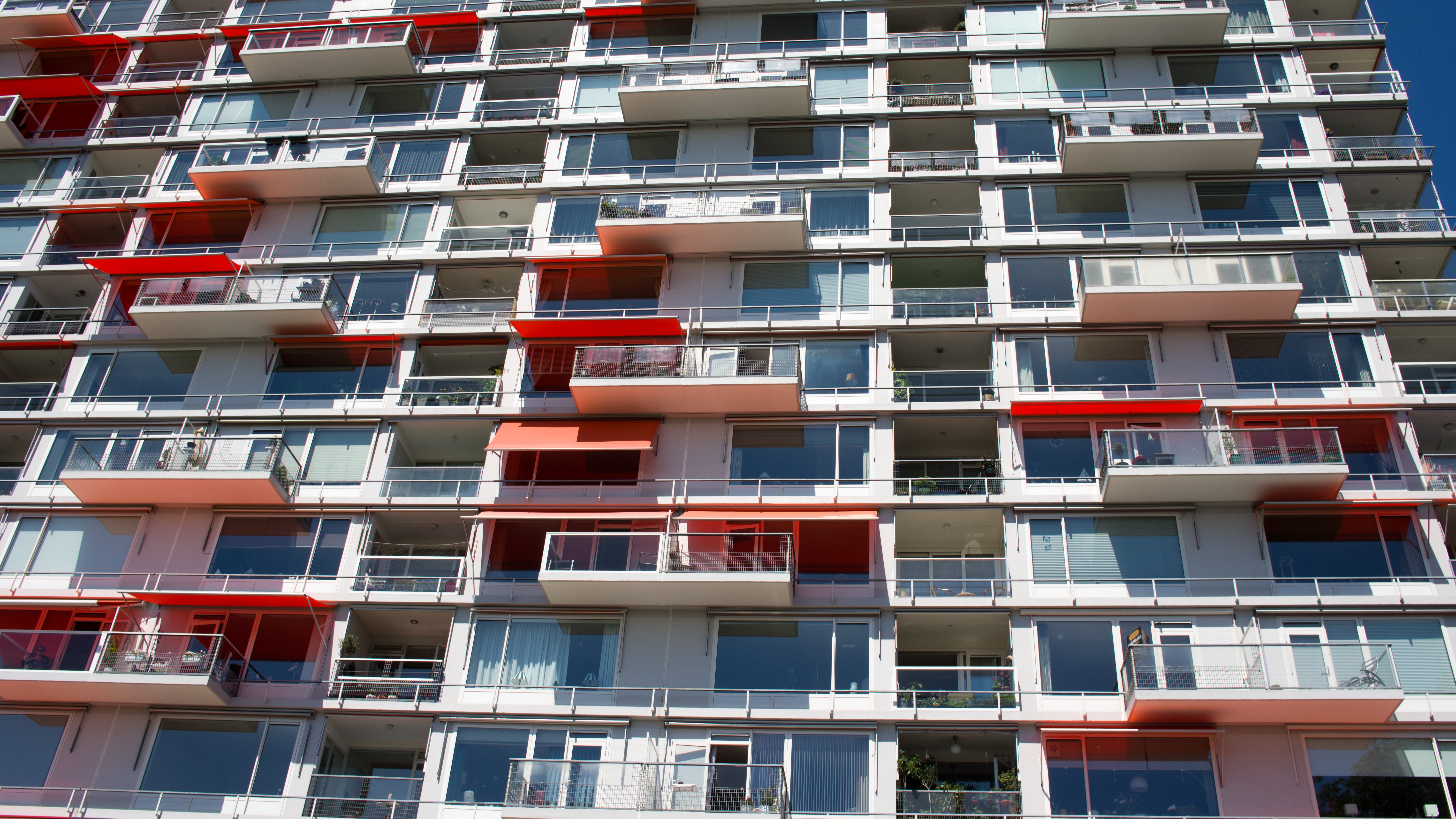 Foto: Marcel Rommens / Shutterstock.com