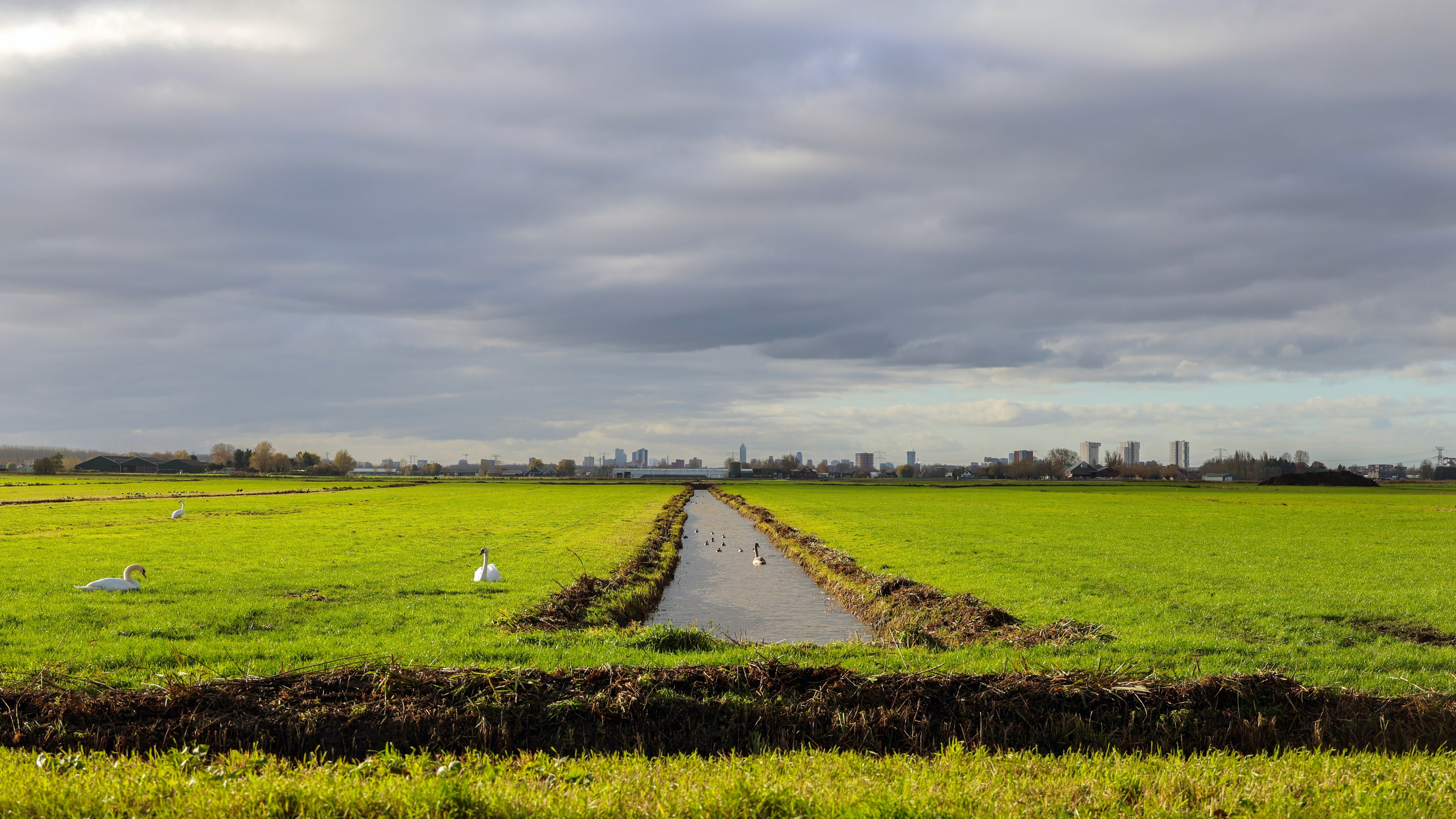 Foto: Andre Muller / Shutterstock.com