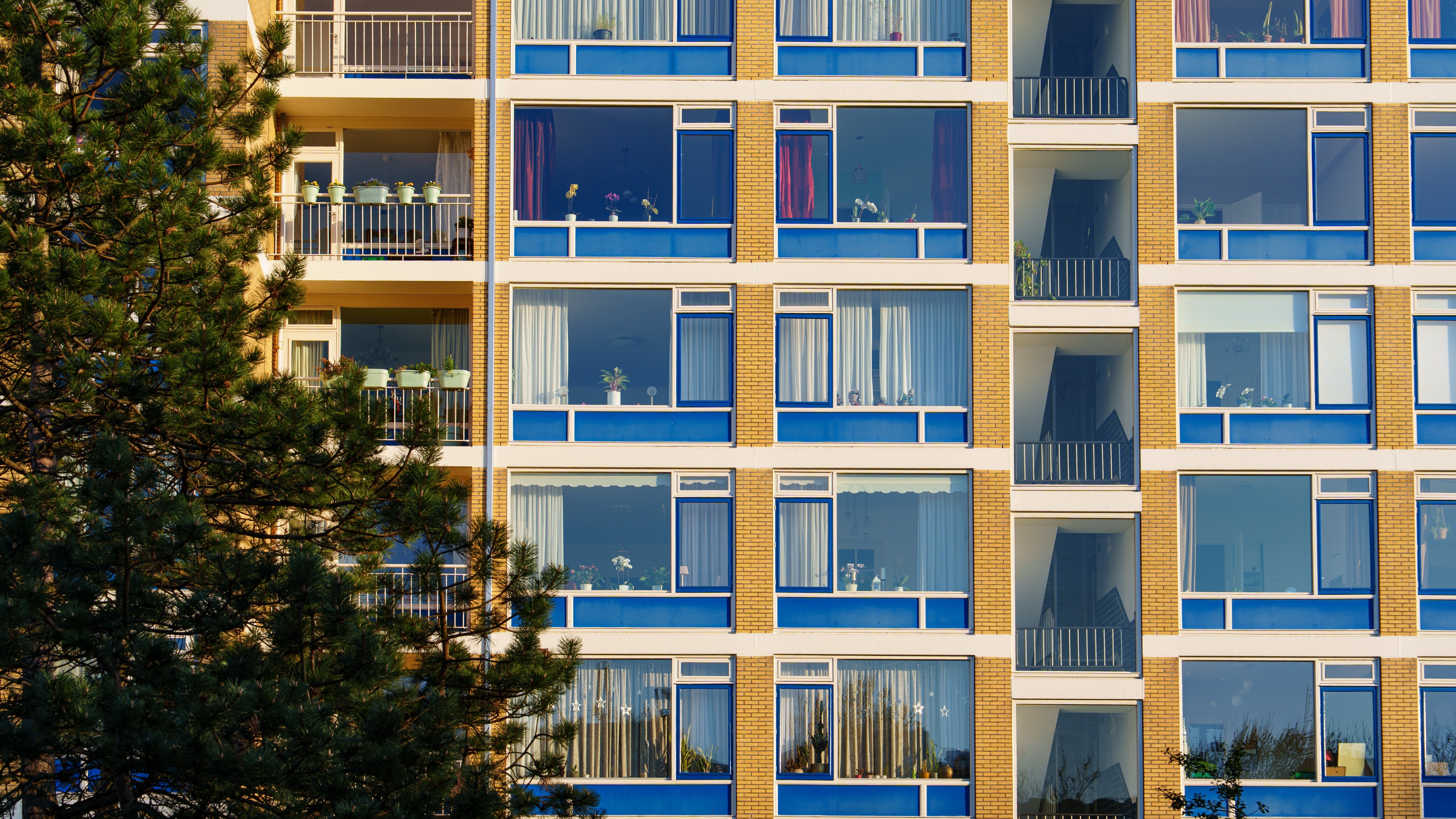 Foto: InFocus.ee / Shutterstock.com